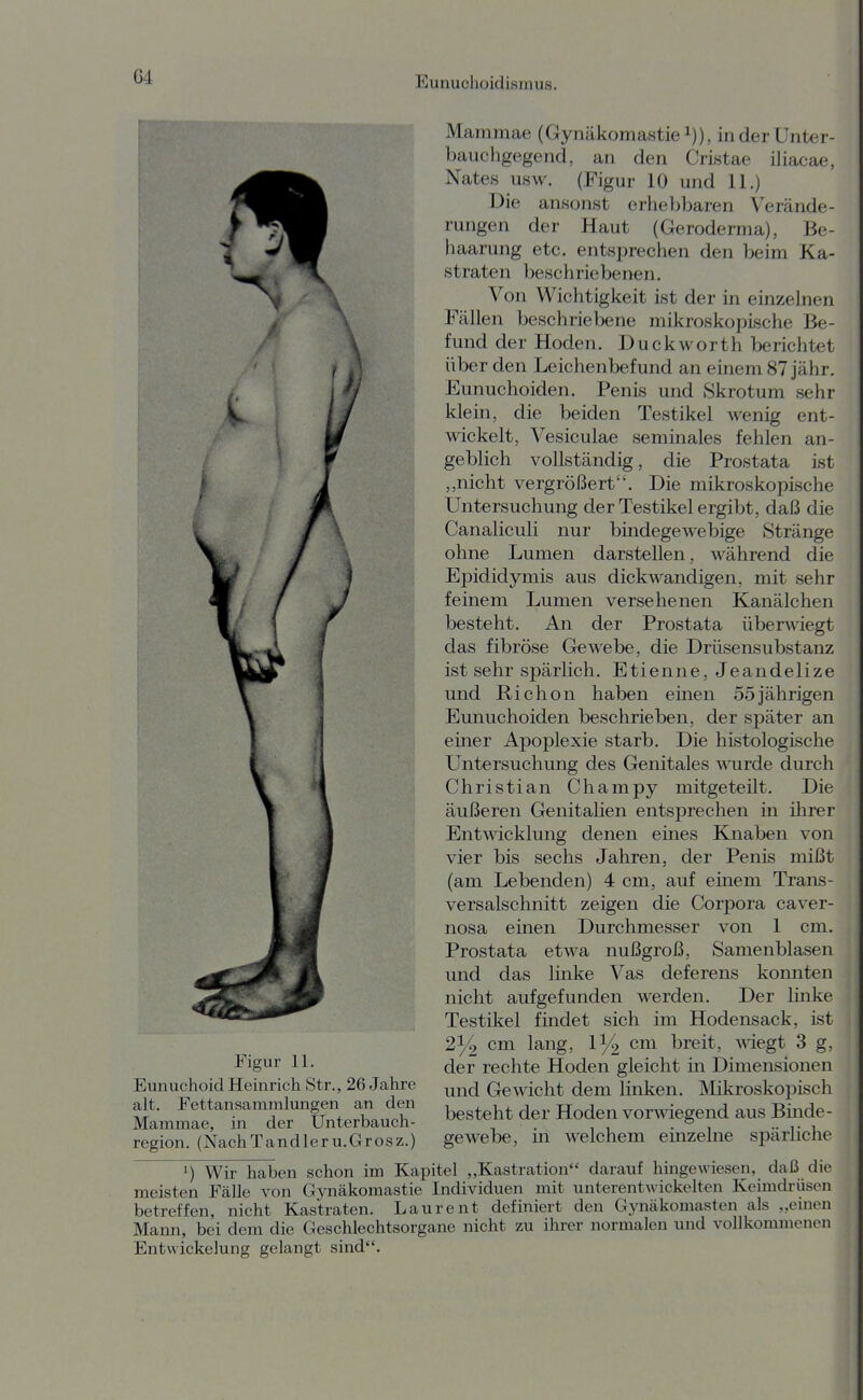 Mammae (Gynäkomastiei)), inderünter- bauchgegend, an den Cristae iliacae, Nates usw. (Figur 10 und 11.) Die ansonst erhebbaren Verände- rungen der Haut (Geroderma), Be- haarung etc. entsprechen den beim Ka- straten beschriebenen. Von Wichtigkeit ist der in einzelnen Fällen beschriebene mikroskopische Be- fund der Hoden. Duckworth berichtet über den Leichenbefund an einem 87 jähr. Eunuchoiden. Penis und Skrotum sehr klein, die beiden Testikel wenig ent- wickelt, Vesiculae seminales fehlen an- geblich vollständig, die Prostata ist ,,nicht vergrößert. Die mikroskopische Untersuchung der Testikel ergibt, daß die Canaliculi nur bindegewebige Stränge ohne Lumen darstellen, während die Epididymis aus dickwandigen, mit sehr feinem Lumen versehenen Kanälchen besteht. An der Prostata überwiegt das fibröse Gewebe, die Drüsensubstanz ist sehr spärlich. Etienne, Jeandelize und Richon haben einen 55jährigen Eunuchoiden beschrieben, der später an einer Apoplexie starb. Die histologische Untersuchung des Genitales ^\airde durch Christian Champy mitgeteilt. Die äußeren Genitalien entsprechen in ihrer Entwicklung denen eines Knaben von vier bis sechs Jahren, der Penis mißt (am Lebenden) 4 cm, auf einem Trans- versalschnitt zeigen die Corpora caver- nosa einen Durchmesser von 1 cm. Prostata etwa nußgroß, Samenblasen und das linke Vas deferens komiten nicht aufgefunden werden. Der linke Testikel findet sich im Hodensack, ist cm lang, 1% cm breit, wiegt 3 g, Figur 11. (jgj. rechte Hoden gleicht m Dimensionen Eunuchoid Heinrich Str., 26 Jahre ^^^^ Gewicht dem linken. Älikroskopisch t,n^:~:ri'LZuZ besteht der Hoden vorwiegend ans BMe- region. (NachTand 1eru. Grosz.) gewebe, m weicnem emzeme sparncne 1) Wir haben schon im Kapitel „Kastration darauf hingewiesen, daß die meisten Fälle von Gynäkomastie Individuen mit unterentwickelten Keimdrüsen betreffen, nicht Kastraten. Laurent definiert den Gynäkomasten als „einen Mann, bei dem die Geschlechtsorgane nicht zu ihrer normalen und vollkommenen Entwickelung gelangt sind.