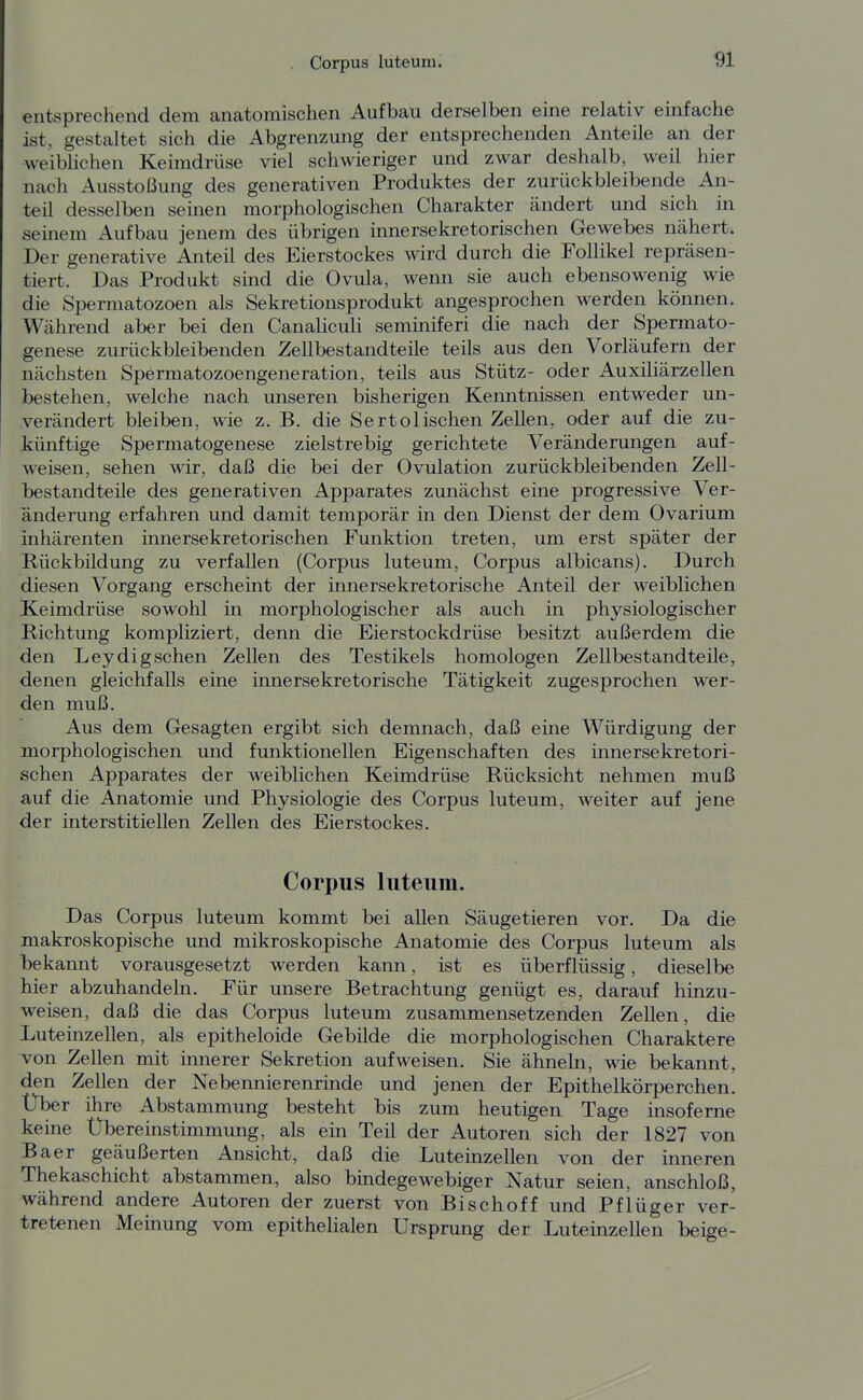 entsprechend dem anatomischen Aufbau derselben eine relativ einfache ist, gestaltet sich die Abgrenzung der entsprechenden Anteile an der weiblichen Keimdrüse viel schwieriger und zwar deshalb, weil hier nach Ausstoßung des generativen Produktes der zurückbleibende An- teil desselben seinen morphologischen Charakter ändert und sich in seinem Aufbau jenem des übrigen innersekretorischen Gewebes nähert. Der generative Anteil des Eierstockes wird durch die Follikel repräsen- tiert. Das Produkt sind die Ovula, wenn sie auch ebensowenig wie die Spermatozoen als Sekretionsprodukt angesprochen werden können. Während aber bei den Canaliculi seminiferi die nach der Spermato- genese zurückbleibenden Zellbestandteile teils aus den Vorläufern der nächsten Spermatozoengeneration, teils aus Stütz- oder Auxiliärzellen bestehen, welche nach unseren bisherigen Kenntnissen entweder un- verändert bleiben, wie z. B. die Sertolischen Zellen, oder auf die zu- künftige Spermatogenese zielstrebig gerichtete Veränderungen auf- weisen, sehen wir, daß die bei der Ovulation zurückbleibenden Zell- bestandteile des generativen Apparates zunächst eine progressive Ver- änderung erfahren und damit temporär in den Dienst der dem Ovarium inhärenten innersekretorischen Funktion treten, um erst später der Rückbildung zu verfallen (Corpus luteum, Corpus albicans). Durch diesen Vorgang erscheint der innersekretorische Anteil der weiblichen Keimdrüse sowohl in morphologischer als auch in physiologischer Richtung kompliziert, denn die Eierstockdrüse besitzt außerdem die den Leydig sehen Zellen des Testikels homologen Zell bestand teile, denen gleichfalls eine innersekretorische Tätigkeit zugesprochen wer- den muß. Aus dem Gesagten ergibt sich demnach, daß eine Würdigung der morphologischen und funktionellen Eigenschaften des innersekretori- schen Apparates der weiblichen Keimdrüse Rücksicht nehmen muß auf die Anatomie und Physiologie des Corpus luteum, weiter auf jene der interstitiellen Zellen des Eierstockes. Corpus luteum. Das Corpus luteum kommt bei allen Säugetieren vor. Da die makroskopische und mikroskopische Anatomie des Corpus luteum als bekannt vorausgesetzt werden kann, ist es überflüssig, dieselbe hier abzuhandeln. Für unsere Betrachtung genügt es, darauf hinzu- weisen, daß die das Corpus luteum zusammensetzenden Zellen, die Luteinzellen, als epitheloide Gebilde die morphologischen Charaktere von Zellen mit innerer Sekretion aufweisen. Sie ähneln, wie bekannt, den Zellen der Nebennierenrinde und jenen der Epithelkörperchen. Über ihre Abstammung besteht bis zum heutigen Tage insoferne keine Übereinstimmung, als ein Teil der Autoren sich der 1827 von Baer geäußerten Ansicht, daß die Luteinzellen von der inneren Thekaschicht abstammen, also bindegewebiger Natur seien, anschloß, während andere Autoren der zuerst von Bisch off und Pflüger ver- tretenen Meinung vom epithelialen Ursprung der Luteinzellen beige-