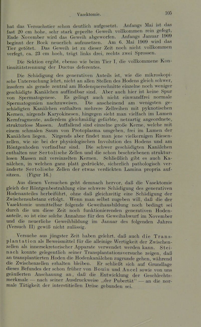 hat das Versuchstier schon deutHch aufgesetzt. Anfangs Mai ist das fast 20 cm hohe, sehr stark geperlte Geweih vollkommen rein gefegt, Ende November wird das Geweih abgeworfen. Anfangs Januar 1909 beginnt der Bock neuerlich aufzusetzen. Am 6. Mai 1909 wird das Tier getötet. Das Geweih ist zu dieser Zeit noch nicht vollkommen verfegt, ca. 23 cm hoch, trägt links drei, rechts zwei Sprossen. Die Sektion ergibt, ebenso wie beim Tier I, die vollkommene Kon- tinuitätstrennung der Ductus deferentes. Die Schädigung des generativen Anteils ist, wie die mikroskopi- sche Untersuchung lehrt, nicht an allen Stellen des Hodens gleich schwer, insofern als gerade zentral am Hodenquerschnitte einzelne noch weniger geschädigte Kanälchen auffindbar sind. Aber auch hier ist keine Spur von Spermatogenese. Es gelingt auch nicht einwandfrei normale Spermatogonien nachzuweisen. Die anscheinend am wenigsten ge- schädigten Kanälchen enthalten mehrere Zellreüien mit pyknotischen Kernen, nirgends Karyokinesen, hingegen sieht man vielfach im Lumen Kemfragmente, außerdem gleichmäßig gefärbte, netzartig angeordnete, strukturlose Massen. Auffallend sind einzelne große Kerne, welche mit einem schmalen Saum von Protoplasma umgeben, frei im Lumen der Kanälchen liegen. Nirgends aber findet man jene vielkernigen Riesen- zeUen, wie sie bei der physiologischen Involution des Hodens und am Röntgenhoden vorfindbar sind. Die schwer geschädigten Kanälchen enthalten nur Sertolische Zellen und die schon beschriebenen struktur- losen Massen mit vereinzelten Kernen. Schließlich gibt es auch Ka- nälchen, in welchen ganz platt gedrückte, sicherlich pathologisch ver- änderte Sertolische Zellen der etwas verdickten Lamina propria auf- sitzen. (Figur 16.) Aus diesen Versuchen geht demnach hervor, daß die Vasektomie gleich der Röntgenbestrahlung eine schwere Schädigung des generativen Hodenanteiles herbeiführt, ohne daß gleichzeitig eine Schädigung der Zwischensubstanz erfolgt. Wenn man selbst zugeben wül, daß die der Vasektomie unmittelbar folgende Geweihausbildung noch bedingt sei durch die um diese Zeit noch funktionierenden generativen Hoden- anteüe, so ist eine solche Annahme für den Geweihabwurf im November und die neuerliche Geweihbüdung im Januar des folgenden Jahres (Versuch II) gewiß nicht zulässig. Versuche aus jüngster Zeit haben gelehrt, daß auch die Trans- plantation als Beweismittel für die alleinige Wertigkeit der Zwischen- zellen als innersekretorischer Apparate verwendet werden kann. Stei- nach konnte gelegentlich seiner Transplantationsversuche zeigen, daß an transplantierten Hoden die Hodenkanälchen zugrunde gehen, während die Zwischenzellen erhalten bleiben. Er schließt sich auf Grundlage dieses Befundes der schon früher von Bouin und Ancel sowie von uns geäußerten Anschauung an, daß die Entwicklung der Geschlechts- merkmale — nach seiner Ausdruckweise „der Pubertät'' — an die nor- male Tätigkeit der interstitiellen Drüse gebunden sei.