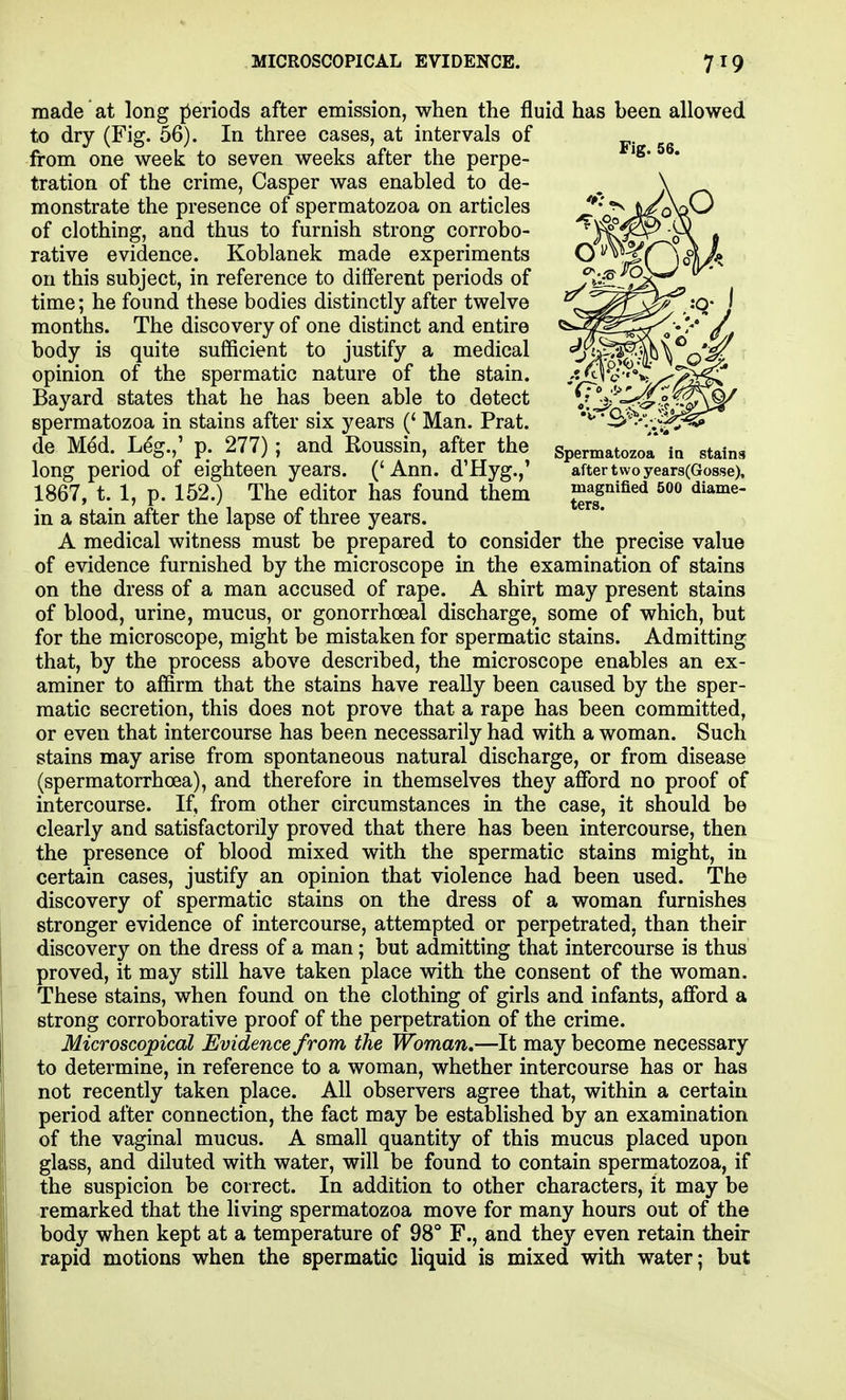 made at long jieriods after emission, when the fluid has been allowed to dry (Fig. 56). In three cases, at intervals of from one week to seven weeks after the perpe- tration of the crime, Casper was enabled to de- monstrate the presence of spermatozoa on articles of clothing, and thus to furnish strong corrobo- rative evidence. Koblanek made experiments on this subject, in reference to different periods of time; he found these bodies distinctly after twelve months. The discovery of one distinct and entire body is quite sufficient to justify a medical opinion of the spermatic nature of the stain. Bayard states that he has been able to detect spermatozoa in stains after six years (' Man. Prat, de Med. Leg.,' p. 277); and Roussin, after the spermatozoa io stains long period of eighteen years. ('Ann. d'Hyg.,' after two years(Go8se), 1867, t. 1, p. 152.) The editor has found them grT'^^^ in a stain after the lapse of three years. A medical witness must be prepared to consider the precise value of evidence furnished by the microscope in the examination of stains on the dress of a man accused of rape. A shirt may present stains of blood, urine, mucus, or gonorrhceal discharge, some of which, but for the microscope, might be mistaken for spermatic stains. Admitting that, by the process above described, the microscope enables an ex- aminer to affirm that the stains have really been caused by the sper- matic secretion, this does not prove that a rape has been committed, or even that intercourse has been necessarily had with a woman. Such stains may arise from spontaneous natural discharge, or from disease (spermatorrhoea), and therefore in themselves they afford no proof of intercourse. If, from other circumstances in the case, it should be clearly and satisfactorily proved that there has been intercourse, then the presence of blood mixed with the spermatic stains might, in certain cases, justify an opinion that violence had been used. The discovery of spermatic stains on the dress of a woman furnishes stronger evidence of intercourse, attempted or perpetrated, than their discovery on the dress of a man; but admitting that intercourse is thus proved, it may still have taken place with the consent of the woman. These stains, when found on the clothing of girls and infants, afford a strong corroborative proof of the perpetration of the crime. Microscopical Evidence from the Woman.—It may become necessary to determine, in reference to a woman, whether intercourse has or has not recently taken place. All observers agree that, within a certain period after connection, the fact may be established by an examination of the vaginal mucus. A small quantity of this mucus placed upon glass, and diluted with water, will be found to contain spermatozoa, if the suspicion be correct. In addition to other characters, it may be remarked that the living spermatozoa move for many hours out of the body when kept at a temperature of 98° F., and they even retain their rapid motions when the spermatic liquid is mixed with water; but Fig. 56.