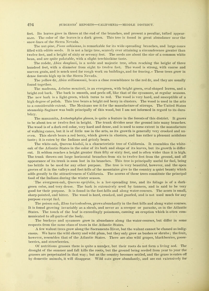 feet. Its leaves grow in threes at the end of the hranches, and present a peculiar, tufted appear- ance. The color of the leaves is a dark green. This tree is found in great abuudance near the snow-lines of the Sierra Nevada. The nut-pine, Pinus sabiniana, is remarkable for its wide-spreading branches, and large cones filled with edible seeds. It is not a large tree, scarcely ever attaining a circumference greater than twelve feet, and a height of sixty or seventy feet. The seeds are about the size of a common white bean, and are quite palatable, with a slight terebinthine taste. The red-fir, Abies douglasii, is a noble aud majestic tree, often reaching the height of three hundred feet, with a diameter from eight to twelve feet. The wood is strong, with coarse and uneven grain, and is much used for rough work on buildings, and for fencing. * These trees grow in dense forests high up in the Sierra Nevada. The yellow-fir, Abies williamsonii, bears a close resemblance to the red-fir, and they are usually found together. The madrona, Arbutus menziesii, is an evergreen, with bright-green, oval-shaped leaves, and a bright-red bark. The bark is smooth, and peels off, like that of the sycamore, at regular seasons. The new bark is a light-green, which turns to red. The wood is very hard, and susceptible of a high degree of polish. This tree bears a bright-red berry in clusters. The wood is used in the arts to a considerable extent. The Mexicans use it for the manufacture of stirrups. The United States steamship Saginaw was built principally of this wood, but I am not informed in regard to its dura- bility. The manzanita, Arctostaphylos glauca, is quite a feature in the forests of this district. It grows to be about ten or twelve feet in height. The trunk divides near the ground into many branches. The wood is of a dark-red color, very hard and dense, and is used to some extent in the manufacture of walking canes, but it is of little use in the arts, as its growth is generally very crooked and un- even. This shrub bears a red berry, which grows in clusters, and has rather a pleasant acidulous taste; it is eaten by the Indians and grizzly bears. The white-oak, Quercus Jdndsii, is a characteristic tree of California. It resembles the white- oak of the Atlantic States in the color of its bark and shape of its leaves, but its growth is differ- ent. It seldom reaches a height greater than fifty or sixty feet, and is often wider thau it is high. The trunk throws out large horizontal branches from six to twelve feet from the ground, and all appearance of its trunk is soon lost in its branches. This tree is principally useful for fuel, being too brittle to be used for any other purpose. The tree is very beautiful, however, and the open groves of it in the valleys and foot-hills of the mountains give to the country a quiet beauty which adds greatly to the attractiveness of California. The acorns of these trees constitute the principal food of the Indians during the winter season.  The evergreen-oak, Quercus agrifolia, is a low-spreading tree, and its foliage is of a dark- green color, and very dense. The bark is exteusively used by tanners, and is said to be very good for their purpose. It is found in the foot-hills and along water-courses. The acorn is small, sharp-pointed, and bitter. The wood is hard, crooked, and guarled, and is not used much for any purpose except fuel. The poison-oak, Rhus toxicodendron, grows abundantly in the foot hills aud along water courses. It is found growing invariably as a shrub, and never as a creeper or parasite, as in the Atlantic States. The touch of the leaf is exceedingly poisonous, causing an eruption which is often com- municated to all-parts of the body. The buckeye and sycamore grow in abuudance along the water-courses, but differ in some respects from the same class of trees in the Atlantic States. A few walnut trees grow along the Sacramento Eiver, but the walnut cannot be classed as indig- enous. We have the wild cherry and wild plum, but they only grow as bushes or shrubs ; the fruit, however, resembles that of the Atlantic States. There are also wild grapes, blackberries, goose- berries, and strawberries. Of nutritious grasses there is quite a number, but their roots do not form a living sod. The drought of the summer and fall kills the roots, but the ground being seeded from year to year the grasses are perpetuated in that way ; but as the country becomes settled, and the grass is eaten off by domestic animals, it will disappear. Wild oats grow abundantly, and are cut extensively for