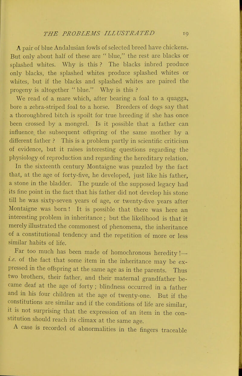 A pair of blue Andalusian fowls of selected breed have chickens. But only about half of these are  blue, the rest are blacks or splashed whites. Why is this ? The blacks inbred produce only blacks, the splashed whites produce splashed whites or whites, but if the blacks and splashed whites are paired the progeny is altogether  blue. Why is this ? We read of a mare which, after bearing a foal to a quagga, bore a zebra-striped foal to a horse. Breeders of dogs say that a thoroughbred bitch is spoilt for true breeding if she has once been crossed by a mongrel. Is it possible that a father can influence the subsequent offspring of the same mother by a different father ? This is a problem partly in scientific criticism of evidence, but it raises interesting questions regarding the physiology of reproduction and regarding the hereditary relation. In the sixteenth century Montaigne was puzzled by the fact that, at the age of forty-five, he developed, just like his father, a stone in the bladder. The puzzle of the supposed legacy had its fine point in the fact that his father did not develop his stone till he was sixty-seven years of age, or twenty-five years after Montaigne was born ! It is possible that there was here an interesting problem in inheritance ; but the hkehhood is that it merely illustrated the commonest of phenomena, the inheritance of a constitutional tendency and the repetition of more or less similar habits of hfe. Far too much has been made of homochronous heredity !— i.e. of the fact that some item in the inheritance may be ex- pressed in the offspring at the same age as in the parents. Thus two brothers, their father, and their maternal grandfather be- came deaf at the age of forty; blindness occurred in a father and in his four children at the age of twenty-one. But if the constitutions are similar and if the conditions of hfe are similar. It is not surprising that the expression of an item in the con- stitution should reach its climax at the same age. A case is recorded of abnormalities in the fingers traceable