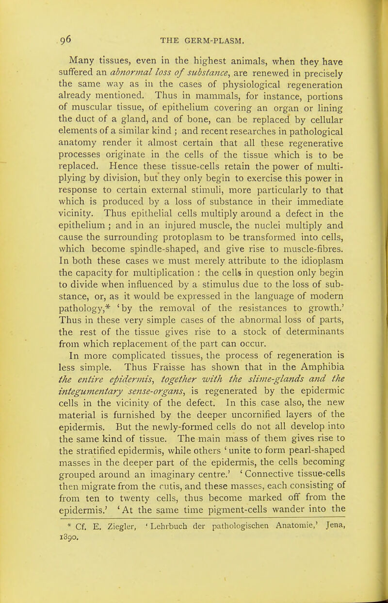 Many tissues, even in the highest animals, when they have suffered an abnormal loss of substance, are renewed in precisely the same way as in the cases of physiological regeneration already mentioned. Thus in mammals, for instance, portions of muscular tissue, of epithelium covering an organ or lining the duct of a gland, and of bone, can be replaced by cellular elements of a similar kind ; and recent researches in pathological anatomy render it almost certain that all these regenerative processes originate in the cells of the tissue which is to be replaced. Hence these tissue-cells retain the power of multi- plying by division, but they only begin to exercise this power in response to certain external stimuli, more particularly to that which is produced by a loss of substance in their immediate vicinity. Thus epithelial cells multiply around a defect in the epithelium ; and in an injured muscle, the nuclei multiply and cause the surrounding protoplasm to be transformed into cells, which become spindle-shaped, and give rise to muscle-fibres. In both these cases we must merely attribute to the idioplasm the capacity for multiplication : the cells in question only begin to divide when influenced by a stimulus due to the loss of sub- stance, or, as it would be expressed in the language of modern pathology,* 'by the removal of the resistances to growth.' Thus in these very simple cases of the abnormal loss of parts, the rest of the tissue gives rise to a stock of determinants from which replacement of the part can occur. In more complicated tissues, the process of regeneration is less simple. Thus Fraisse has shown that in the Amphibia the e7itire epidermis, together with the slime-glands and the integumentary sense-organs, is regenerated by the epidermic cells in the vicinity of the defect. In this case also, the new material is furnished by the deeper uncornified layers of the epidermis. But the newly-formed cells do not all develop into the same kind of tissue. The main mass of them gives rise to the stratified epidermis, while others ' unite to form pearl-shaped masses in the deeper part of the epidermis, the cells becoming grouped around an imaginary centre.' ' Connective tissue-cells then migrate from the cutis, and these masses, each consisting of from ten to twenty cells, thus become marked off from the epidermis.' 'At the same time pigment-cells wander into the * Cf. E. Ziegler, ' Lehibuch der pathologischen Anatomic,' Jena, 1890.