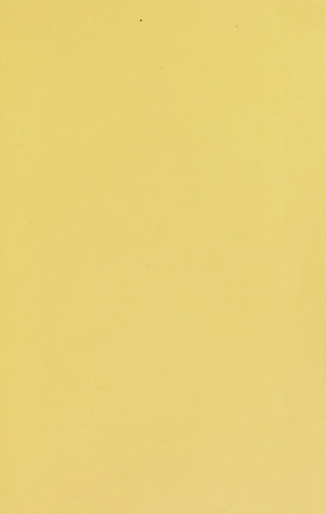 digitised image 3