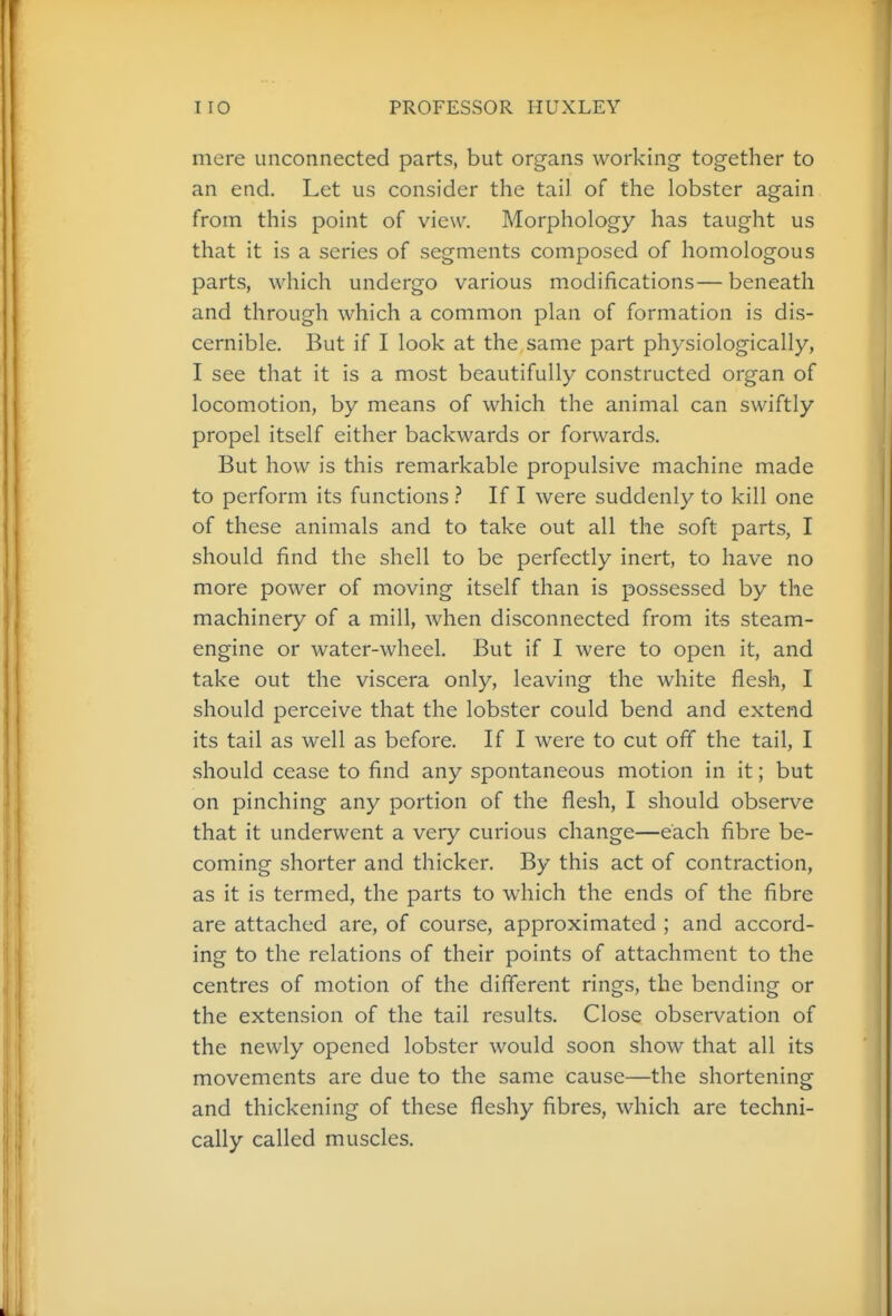 mere unconnected parts, but organs working together to an end. Let us consider the tail of the lobster again from this point of view. Morphology has taught us that it is a series of segments composed of homologous parts, which undergo various modifications— beneath and through which a common plan of formation is dis- cernible. But if I look at the same part physiologically, I see that it is a most beautifully constructed organ of locomotion, by means of which the animal can swiftly propel itself either backwards or forwards. But how is this remarkable propulsive machine made to perform its functions } If I were suddenly to kill one of these animals and to take out all the soft parts, I should find the shell to be perfectly inert, to have no more power of moving itself than is possessed by the machinery of a mill, when disconnected from its steam- engine or water-wheel. But if I were to open it, and take out the viscera only, leaving the white flesh, I should perceive that the lobster could bend and extend its tail as well as before. If I were to cut off the tail, I should cease to find any spontaneous motion in it; but on pinching any portion of the flesh, I should observe that it underwent a very curious change—each fibre be- coming shorter and thicker. By this act of contraction, as it is termed, the parts to which the ends of the fibre are attached are, of course, approximated ; and accord- ing to the relations of their points of attachment to the centres of motion of the different rings, the bending or the extension of the tail results. Close observation of the newly opened lobster would soon show that all its movements are due to the same cause—the shortening and thickening of these fleshy fibres, which are techni- cally called muscles.