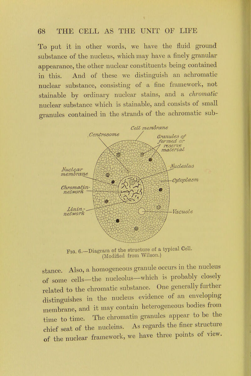 To put it in other words, we have the fluid ground substance of the nucleus, which may have a finely granular appearance, the other nuclear constituents being contained in this. And of these we distinguish an achromatic nuclear substance, consisting of a fine framework, not stainable by ordinary nuclear stains, and a chromatic nuclear substance which is stainable, and consists of small eraniiles contained in the strands of the achromatic sub- Cell meTnbrane Gmmdes of formed or reserve TnaCeriaZ Linin- nebwork membrane '' Chrom^Cin network KudeoLtiS ■Cyt!oplasm Vacuole Fia 6 —Diagram of the structure of a typical Cell. (Modified from Wilson.) stance. Also, a homogeneous granule occurs in the nucleus of some cells—the nucleolus—which is probably closely related to the chromatic substance. One generally further distinguishes in the nucleus evidence of an enveloping membrane, and it may contain heterogeneous bodies from time to time. The chi'omatin granules appear to be the chief seat of the nucleins. As regards the finer structure of the nuclear framework, we have three points of view.