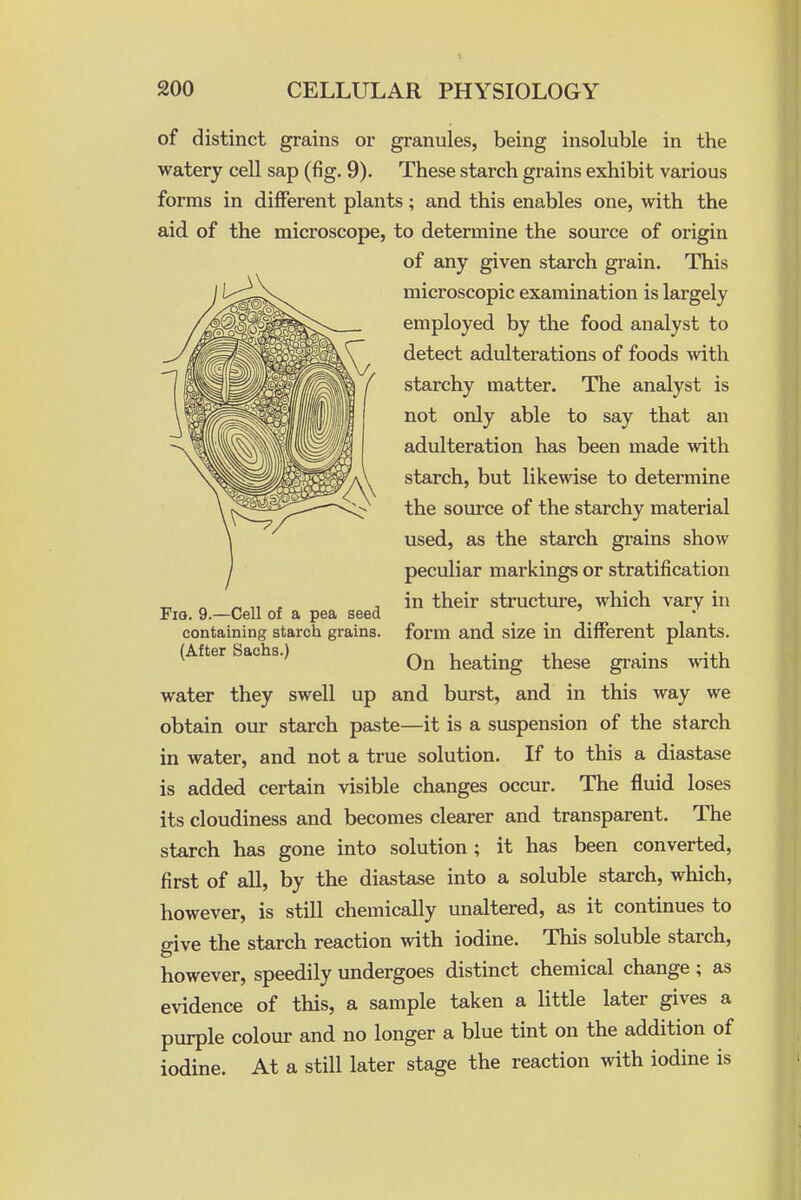 of distinct grains or granules, being insoluble in the watery cell sap (fig. 9). These starch grains exhibit various forms in different plants; and this enables one, with the aid of the microscope, to determine the source of origin of any given starch grain. This microscopic examination is largely employed by the food analyst to detect adulterations of foods with starchy matter. The analyst is not only able to say that an adulteration has been made with starch, but likewise to determine the source of the starchy material used, as the starch grains show peculiar markings or stratification in their structure, which vary in form and size in different plants. On heating these grains with water they swell up and burst, and in this way we obtain our starch paste—it is a suspension of the starch in water, and not a true solution. If to this a diastase is added certain visible changes occur. The fluid loses its cloudiness and becomes clearer and transparent. The starch has gone into solution ; it has been converted, first of all, by the diastase into a soluble starch, which, however, is still chemically unaltered, as it continues to give the starch reaction with iodine. This soluble starch, however, speedily undergoes distinct chemical change; as evidence of this, a sample taken a little later gives a purple colour and no longer a blue tint on the addition of iodine. At a still later stage the reaction mth iodine is Fio. 9.—Cell of a pea seed containing starch grains. (After Sachs.)