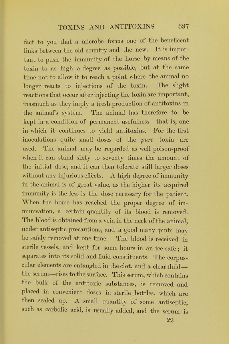 fact to you that a microbe forms one of the beneficent links between the old country and the new. It is impor- tant to push the immunity of the horse by means of the toxin to as high a degi-ee as possible, but at the same time not to allow it to reach a point where the animal no longer reacts to injections of the toxin. The slight reactions that occur after injecting the toxin are important, inasmuch as they imply a fresh production of antitoxins in the animal's system. The animal has therefore to be kept in a condition of permanent usefulness—that is, one in which it continues to yield antitoxins. For the first inoculations quite small doses of the pure toxin are used. The animal may be regarded as well poison-proof when it can stand sixty to seventy times the amount of the initial dose, and it can then tolerate still larger doses Mathout any injurious effects, A high degree of immunity in the animal is of great value, as the higher its acquired immunity is the less is the dose necessary for the patient. When the horse has reached the proper degree of im- munisation, a certain quantity of its blood is removed. The blood is obtained from a vein in the neck of the animal, imder antiseptic precautions, and a good many pints may be safely removed at one time. The blood is received in sterile vessels, and kept for some hours in an ice safe; it separates into its solid and fluid constituents. The corpus- cular elements are entangled in the clot, and a clear fluid— the serum—rises to the surface. This serum, which contains the bulk of the antitoxic substances, is removed and placed in convenient doses in sterile bottles, which are then sealed up. A small quantity of some antiseptic, such as carbolic acid, is usually added, and the serum is 22