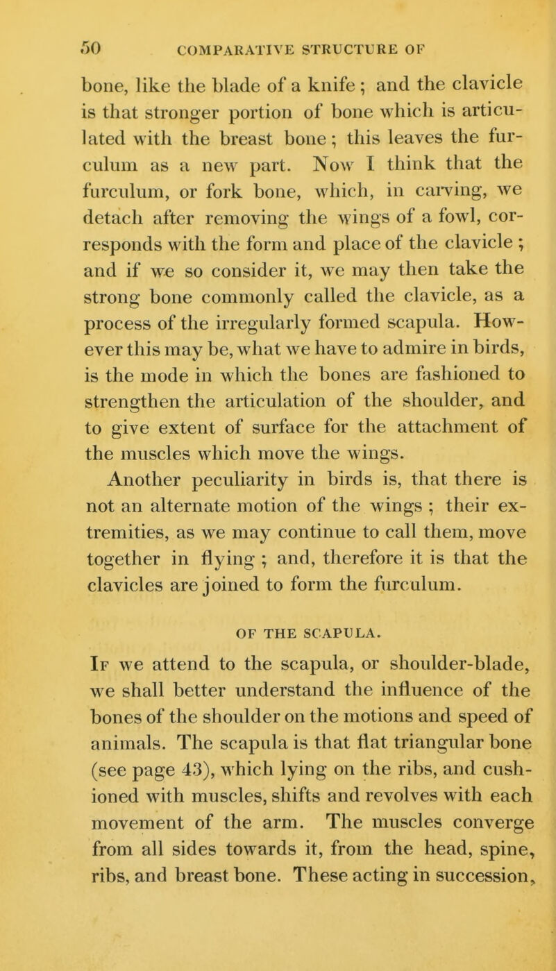 r)0 COMPARATIVE STRUCTURE OF bone, like the blade of a knife ; and the clavicle is that stronger portion of bone which is articu- lated with the breast bone; this leaves the fur- culum as a new part. Now I think that the furculum, or fork bone, which, in cai-ving, we detach after removing the wings of a fowl, cor- responds with the form and place of the clavicle ; and if we so consider it, we may then take the strong bone commonly called the clavicle, as a process of the irregularly formed scapula. How- ever this may be, what w e have to admire in birds, is the mode in which the bones are fashioned to strengthen the articulation of the shoulder, and to give extent of surface for the attachment of the muscles which move the wings. Another peculiarity in birds is, that there is not an alternate motion of the wings ; their ex- tremities, as we may continue to call them, move together in flying ; and, therefore it is that the clavicles are joined to form the furculum. OF THE SCAPULA. If we attend to the scapula, or shoulder-blade, we shall better understand the influence of the bones of the shoulder on the motions and speed of animals. The scapula is that flat triangular bone (see page 43), which lying on the ribs, and cush- ioned with muscles, shifts and revolves with each movement of the arm. The muscles converge from all sides towards it, from the head, spine, ribs, and breast bone. These acting in succession.