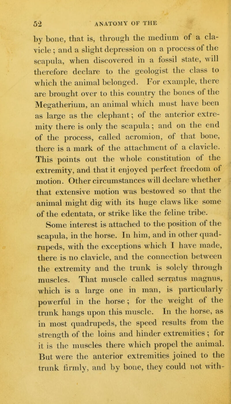 by bone, that is, through the medium of a cla- vicle ; and a slight depression on a process of the scapula, when discovered in a fossil state, will therefore declare to the geologist the class to which the animal belonged. For example, there are brought over to this country the bones of the Megatherium, an animal which must have been as large as the elephant; of the anterior extre- mity there is only the scapula; and on the end of the process, called acromion, of that bone, there is a mark of the attachment of a clavicle. This points out the whole constitution of the extremity, and that it enjoyed perfect freedom of motion. Other circumstances will declare whether that extensive motion was bestowed so that the animal might dig with its huge claws like some of the edentata, or strike like the feline tribe. Some interest is attached to the position of the scapula, in the horse. In him, and in other quad- rupeds, with the exceptions which I have made, there is no clavicle, and the connection between the extremity and the trunk is solely through muscles. That muscle called serratus magnus, which is a large one in man, is particularly powerful in the horse; for the weight of the trunk hangs upon this muscle. In the horse, as in most quadrupeds, the speed results from the strength of the loins and hinder extremities ; for it is the muscles there which propel the animal. But were the anterior extremities joined to the trunk firmly, and by bone, they could not with-