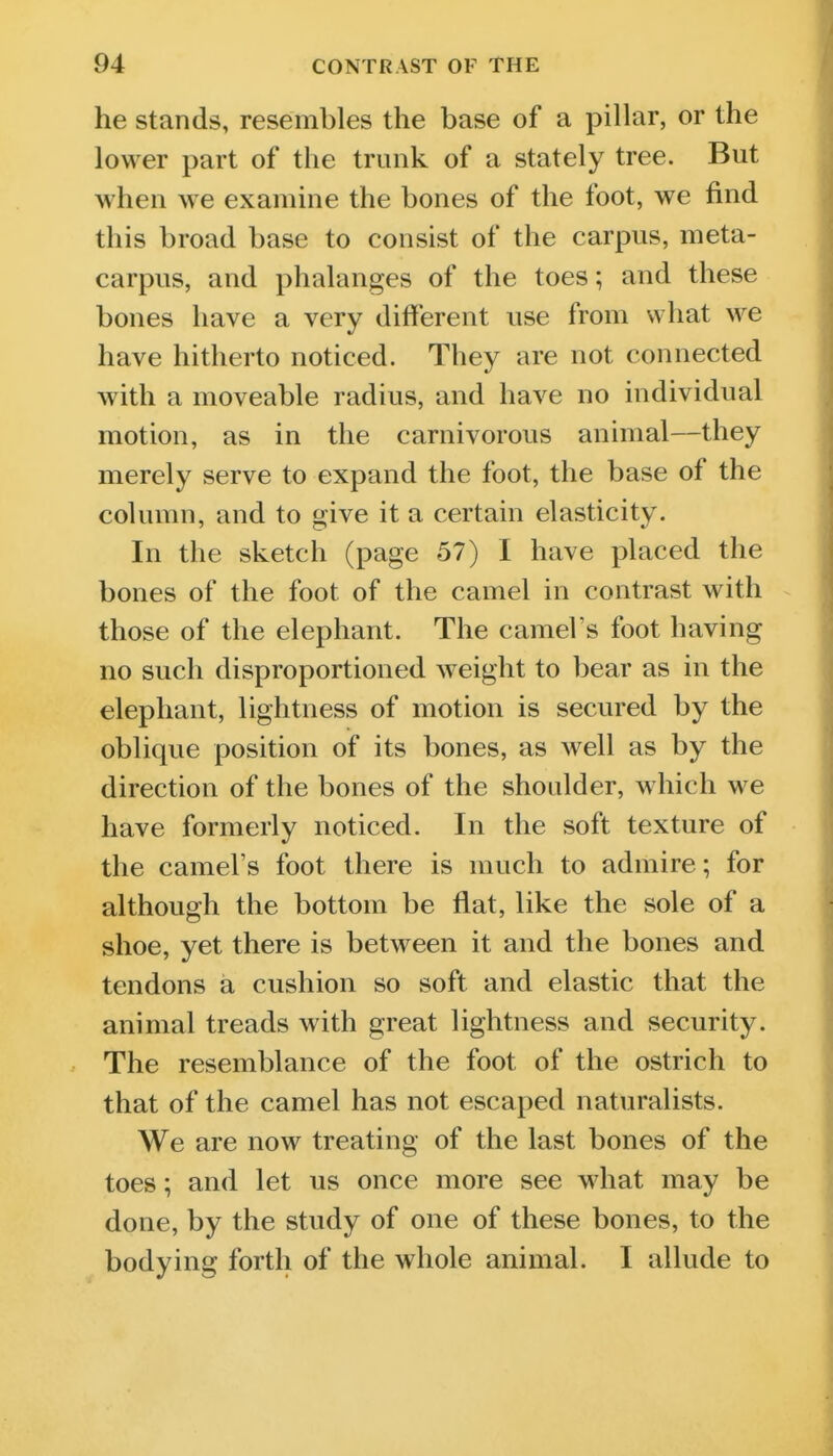 he stands, resembles the base of a pillar, or the lower part of the trunk of a stately tree. But when W'e examine the bones of the foot, we find this broad base to consist of the carpus, meta- carpus, and phalanges of the toes; and these bones have a very different use from what we have hitherto noticed. They are not connected with a moveable radius, and have no individual motion, as in the carnivorous animal—they merely serve to expand the foot, the base of the column, and to give it a certain elasticity. In the sketch (page 57) I have placed the bones of the foot of the camel in contrast with those of the elephant. The camel's foot having no such disproportioned weight to bear as in the elephant, lightness of motion is secured by the oblique position of its bones, as well as by the direction of the bones of the shoulder, which we have formerly noticed. In the soft texture of the camel's foot there is much to admire; for although the bottom be flat, like the sole of a shoe, yet there is between it and the bones and tendons a cushion so soft and elastic that the animal treads with great lightness and security. The resemblance of the foot of the ostrich to that of the camel has not escaped naturalists. We are now treating of the last bones of the toes; and let us once more see what may be done, by the study of one of these bones, to the bodying forth of the whole animal. I allude to