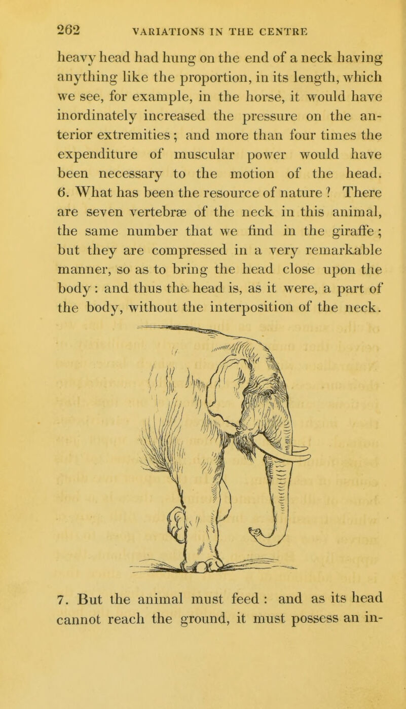heavy head had hung on the end of a neck having anything like the proportion, in its length, which we see, for example, in the horse, it would have inordinately increased the pressure on the an- terior extremities; and more than four times the expenditure of muscular power would have been necessary to the motion of the head. 6. What has been the resource of nature ? There are seven vertebrae of the neck in this animal, the same number that we find in the giraffe; but they are compressed in a very remarkable manner, so as to bring the head close upon the body: and thus the head is, as it were, a part of the body, without the interposition of the neck. 7. But the animal must feed : and as its head cannot reach the ground, it must possess an in-