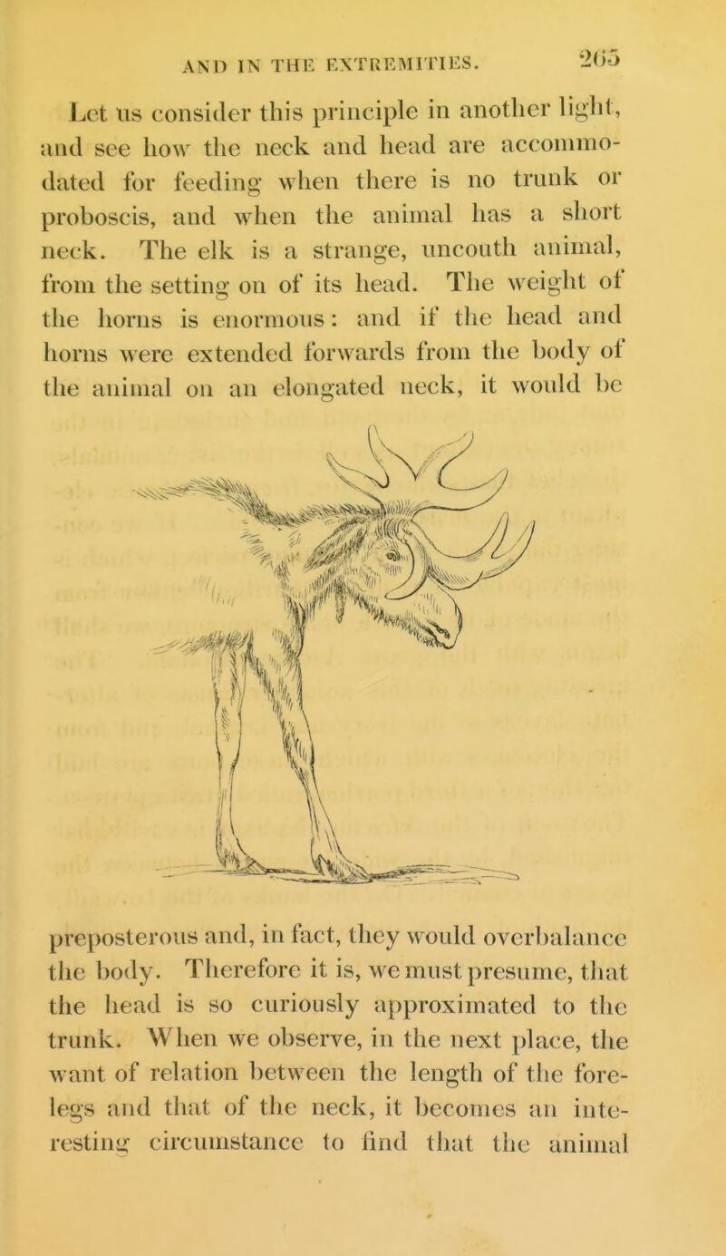 Let US consider this principle in another light, and see how the neck and head are accommo- dated for feedinj? when there is no trunk or proboscis, and when the animal has a short neck. The elk is a strange, uncouth animal, from the setting on of its head. The weight of the horns is enormous: and if the head and horns were extended forwards from the body of the animal on an eloui^rated neck, it would be preposterous and, in fact, they would overbalance the body. Therefore it is, we must presume, that the head is so curiously approximated to the trunk. When we observe, in the next place, the want of relation between the length of tlie fore- legs and that of the neck, it becomes an inte- resting circumstance to lind that the animal