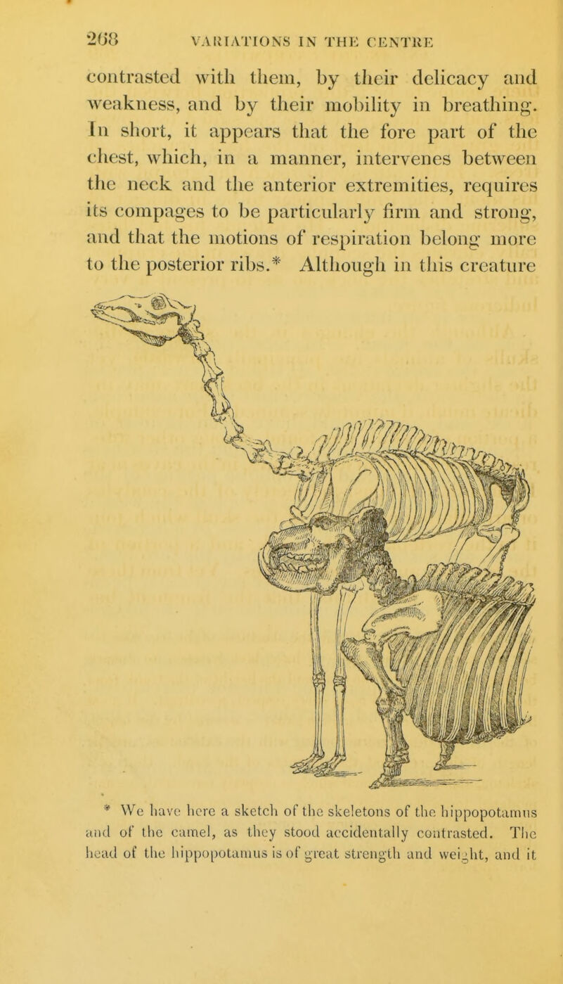 contrasted with them, by their delicacy and weakness, and by their mobihty in breathing. In short, it appears that the fore part of the chest, which, in a manner, intervenes between the neck and the anterior extremities, requires its compages to be particularly firm and strong, and that the motions of respiration belong more to the posterior ribs.* Although in this creature * Wc have here a sketch of the skeletons of the hippopotamus and of the camel, as they stood accidentally contrasted. The liead of the hippopotamus is of great strength and vveij,ht, and it