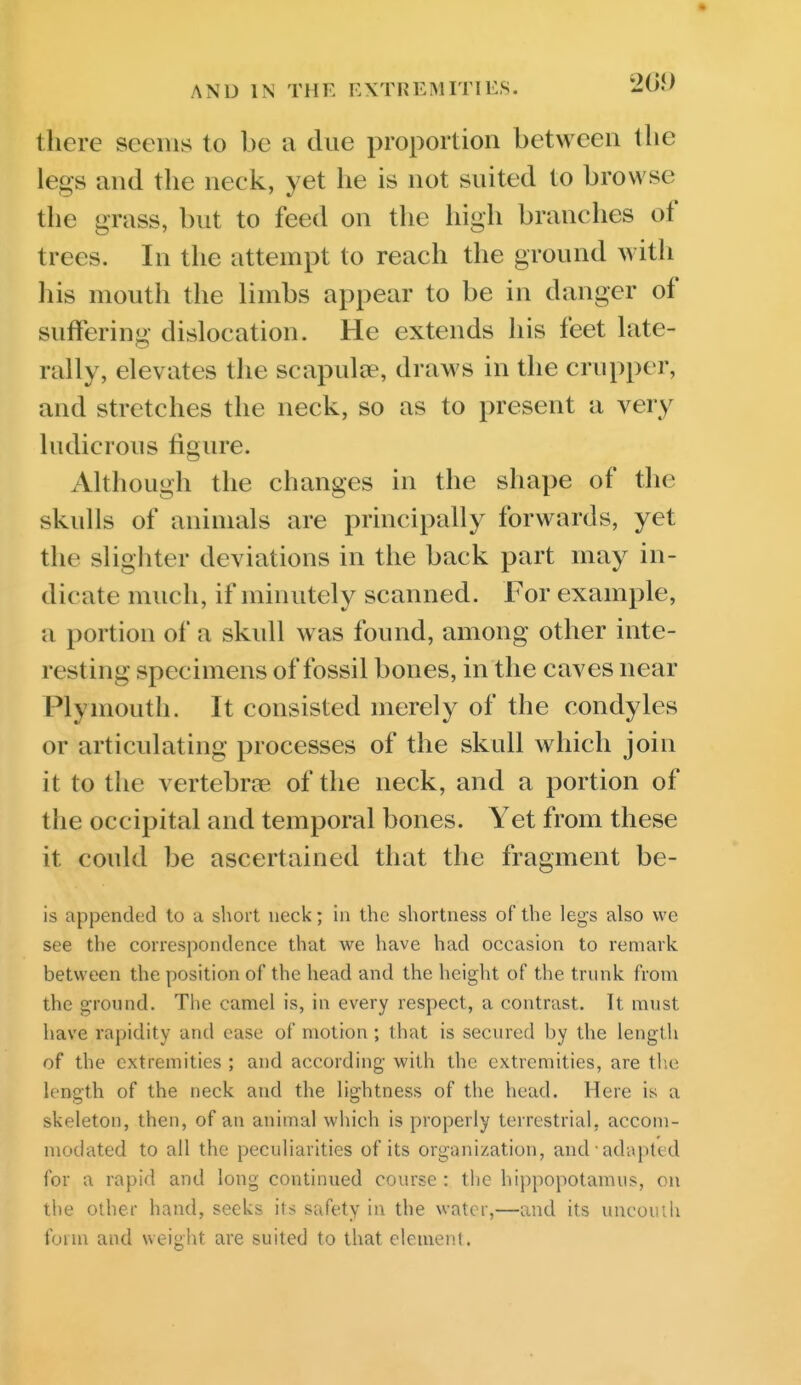 there seems to be a due proportion between the legs and the neck, yet he is not suited to browse the grass, but to feed on the high branches of trees. In the attempt to reach the ground with his mouth the limbs appear to be in danger of suffering dislocation. He extends his feet late- rally, elevates the scapula^, draws in the crupper, and stretches the neck, so as to present a very ludicrous figure. Although the changes in the shape of the skulls of animals are principally forwards, yet the slighter deviations in the back part may in- dicate much, if minutely scanned. For example, a portion of a skull was found, among other inte- resting specimens of fossil bones, in the caves near Plymouth. It consisted merely of the condyles or articulating processes of the skull which join it to the vertebrae of the neck, and a portion of the occipital and temporal bones. Yet from these it could be ascertained that the fragment be- is appended to a short neck; in the shortness of the legs also we see the correspondence that we have had occasion to remark between the position of the head and the height of the trunk from the ground. The camel is, in every respect, a contrast. It must have rapidity and ease of motion; that is secured by the length of the extremities ; and according with the extremities, are tlie length of the neck and the lightness of the head. Here is a skeleton, then, of an animal which is properly terrestrial, accom- modated to all the peculiarities of its organization, and adapted for a rapid and long continued course : the hippopotamus, on the other hand, seeks its safety in the water,—and its uncouth form and weight are suited to that element.