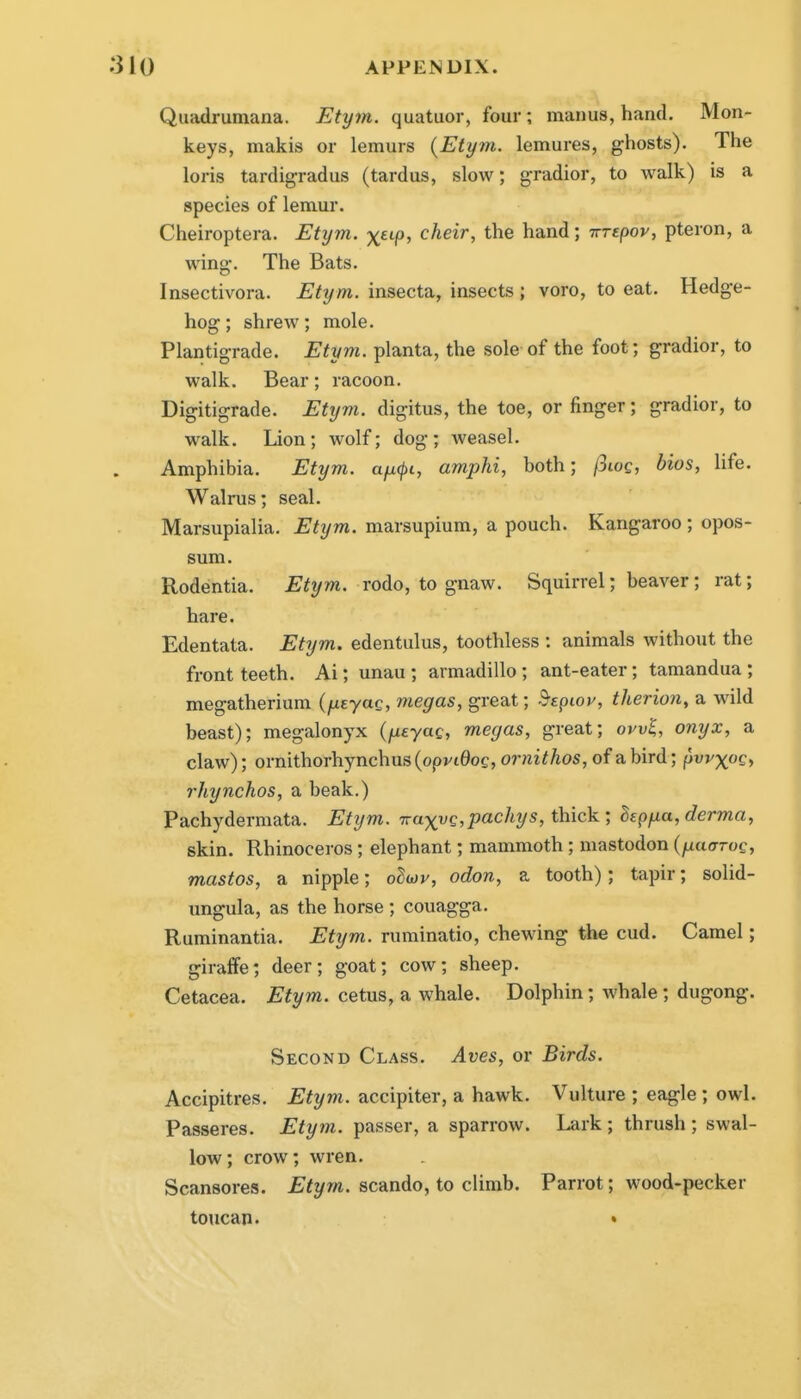 Quadrumana. Etym. quatuor, four; man us, hand. Mon- keys, makis or lemurs {Ety?n, lemures, ghosts). The loris tardigradus (tardus, slow; gradior, to Avalk) is a species of lemur. Cheiroptera. Etym. x^i-P^ cheir, the hand; Trrepov, pteron, a wing-. The Bats. Insectivora. Etym. insecta, insects ; voro, to eat. Hedge- hog ; shrew; mole. Plantigrade. Etym. planta, the sole of the foot; gradior, to walk. Bear; racoon. Digitigrade. Etym. digitus, the toe, or finger; gradior, to walk. Lion; wolf; dog; weasel. Amphibia. Etym. ufKpi, amphi, both; /3ioc, bios, life. Walrus; seal. Marsupialia. Etym. marsupium, a pouch. Kangaroo; opos- sum. Rodentia. Etym. rodo, to gnaw. Squirrel; beaver; rat; hare. Edentata. Etym. edentulus, toothless : animals without the front teeth. Ai; unau ; armadillo; ant-eater; tamandua ; megatherium (fxtyag, megas, great; ^tpiov, therion, a wi\d beast); megalonyx (fttyac, megas, great; ovv^, onyx, a claw); ornithorhynchus(opvi0oc,orwi<Aos,of abird; pwxoQi rhynchos, a beak.) Pachydermata. Etym. ■KaxvQ,pacliys, thick', ^epfxa, derma, skin. Rhinoceros; elephant; mammoth ; mastodon (hckttoq, mastos, a nipple; odioy, odon, a tooth); tapir; solid- ungula, as the horse ; couagga. Ruminantia. Etym. ruminatio, chewing the cud. Camel; giraffe; deer; goat; cow; sheep. Cetacea. Etym. cetus, a whale. Dolphin; whale; dugong. Second Class. Aves, or Birds. Accipitres. Etym. accipiter, a hawk. Vulture ; eagle ; owl. Passeres. Etym. passer, a sparrow. Lark; thrush; swal- low; crow; wren. Scansores. £<z/m. scando, to climb. Parrot; wood-pecker toucan. •