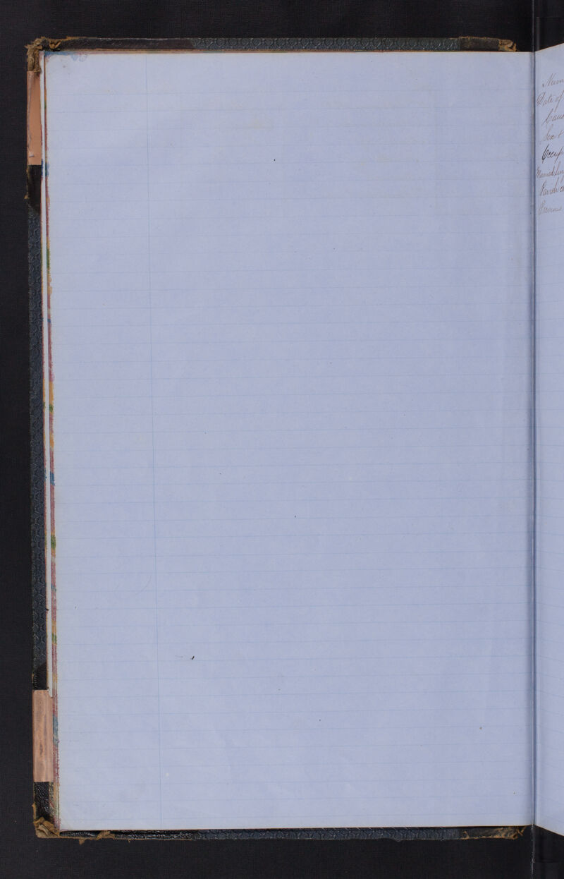 No text description is available for this image