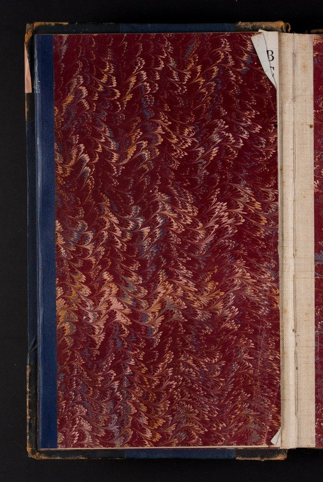 No text description is available for this image