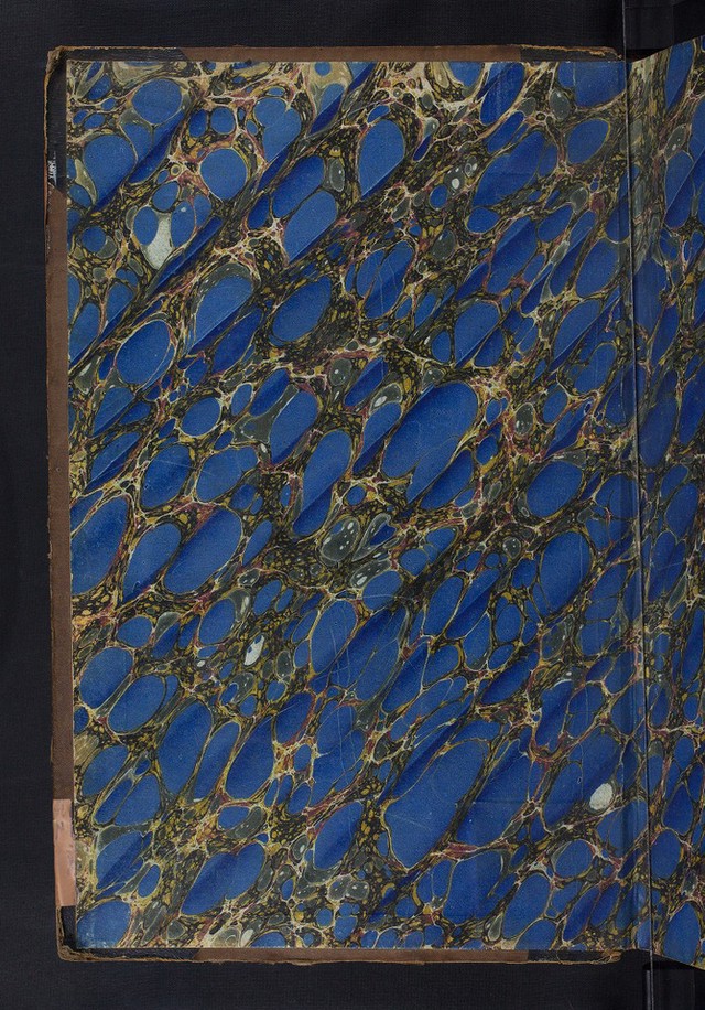 No text description is available for this image