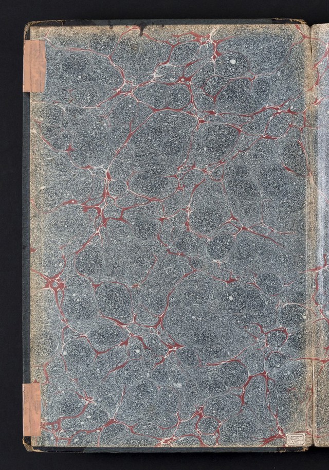 digitised image 2