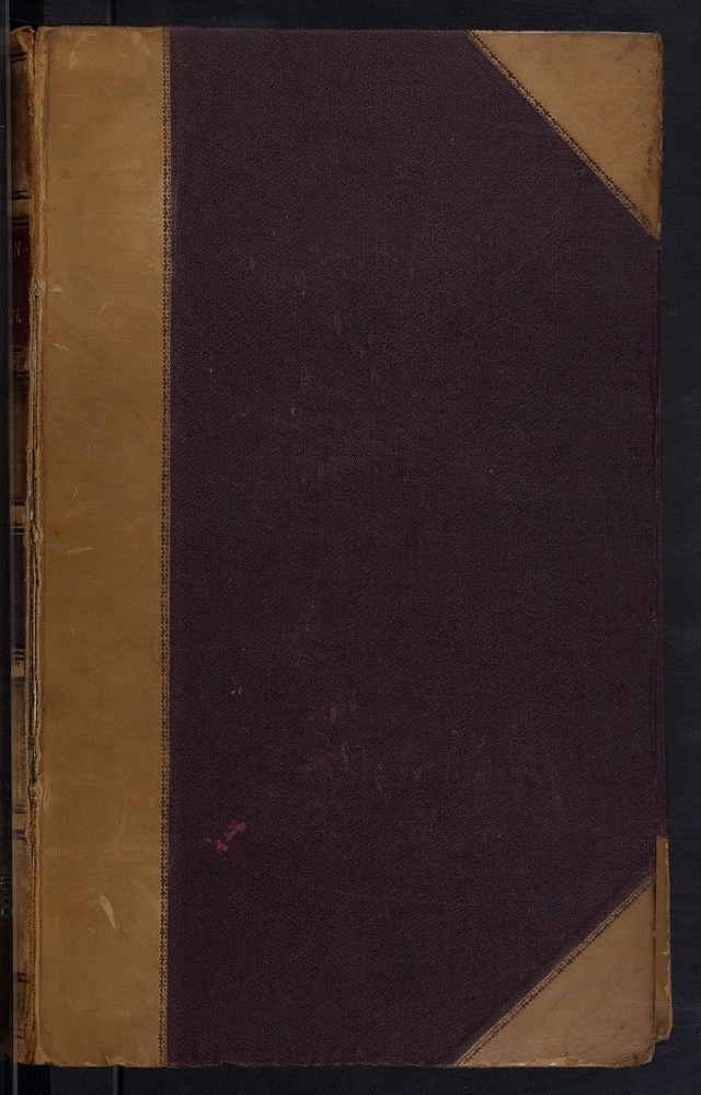 digitised image 1