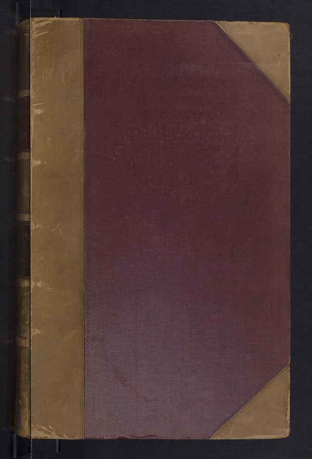 digitised image 1