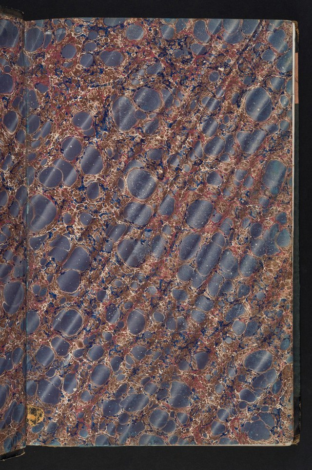 digitised image 3