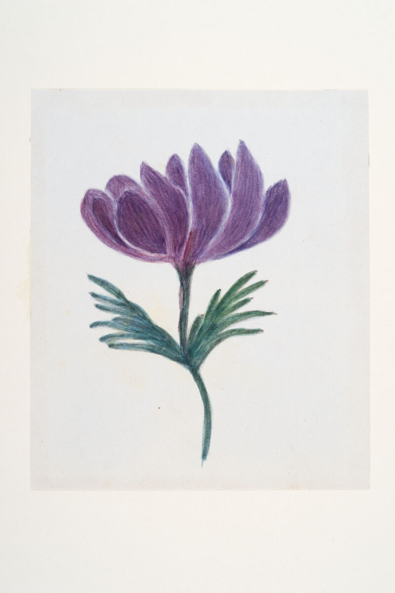 No text description is available for this image