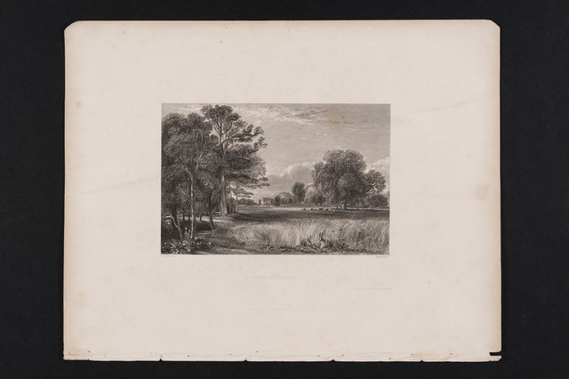 digitised image 1