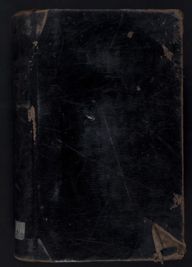 digitised image 1
