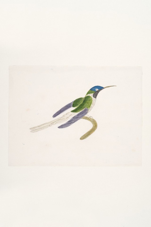 No text description is available for this image