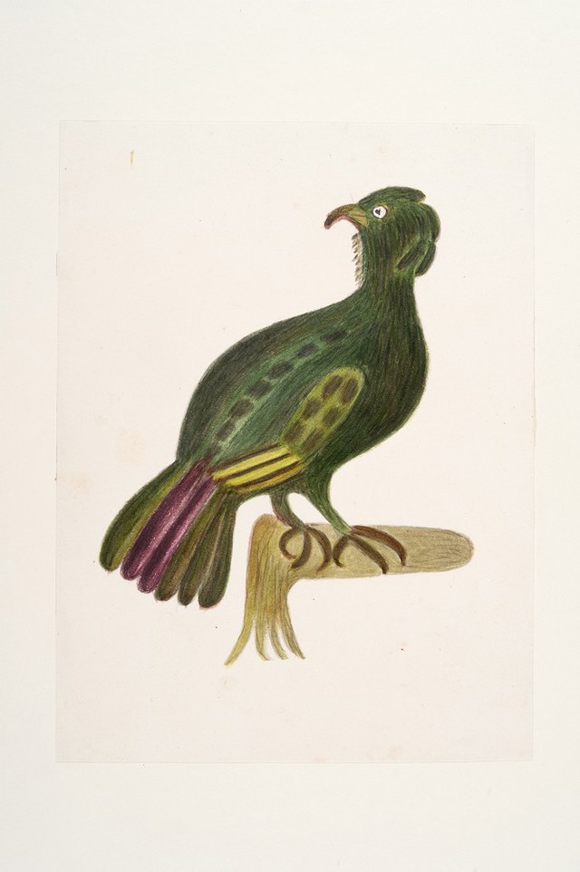 No text description is available for this image