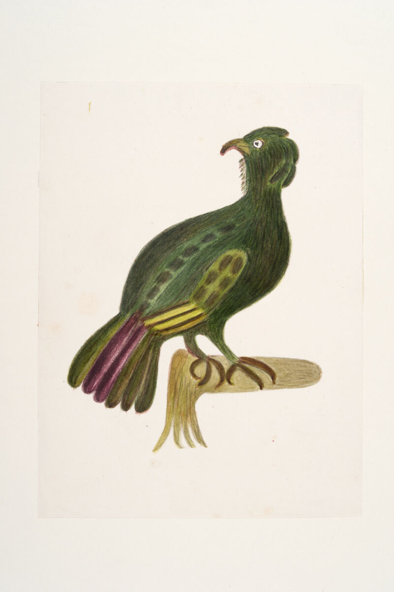 No text description is available for this image