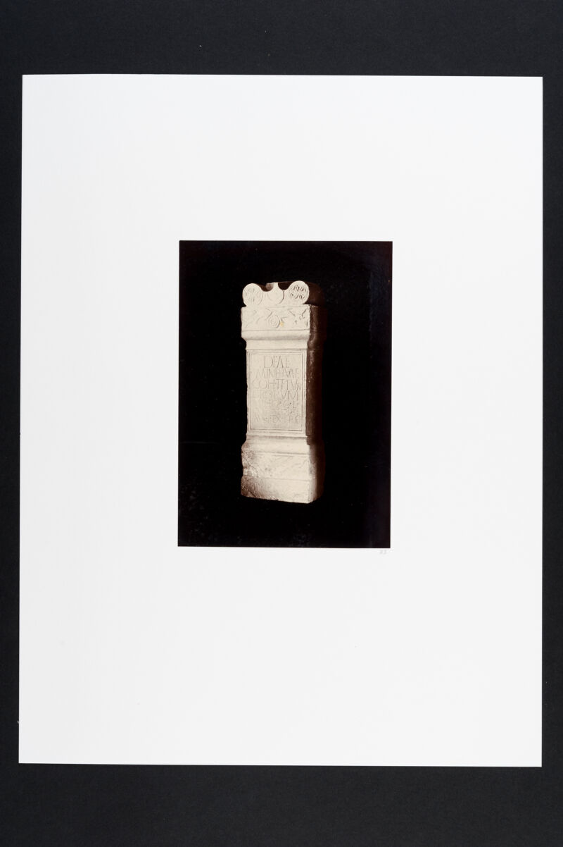 No text description is available for this image