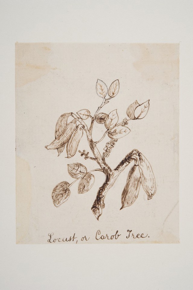 No text description is available for this image