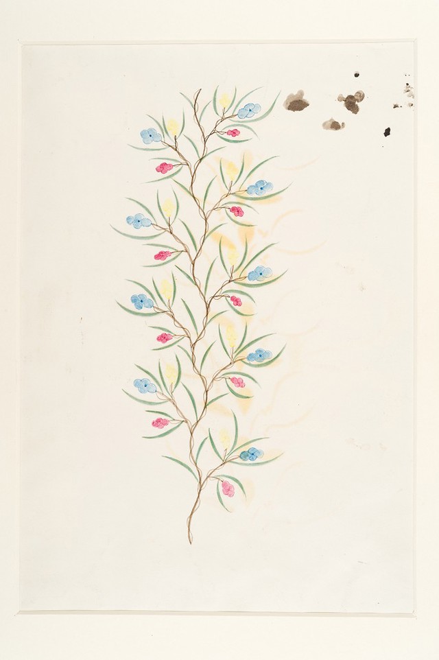 No text description is available for this image