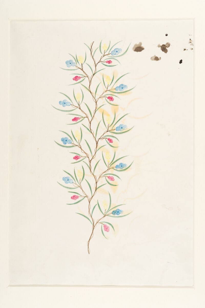 No text description is available for this image