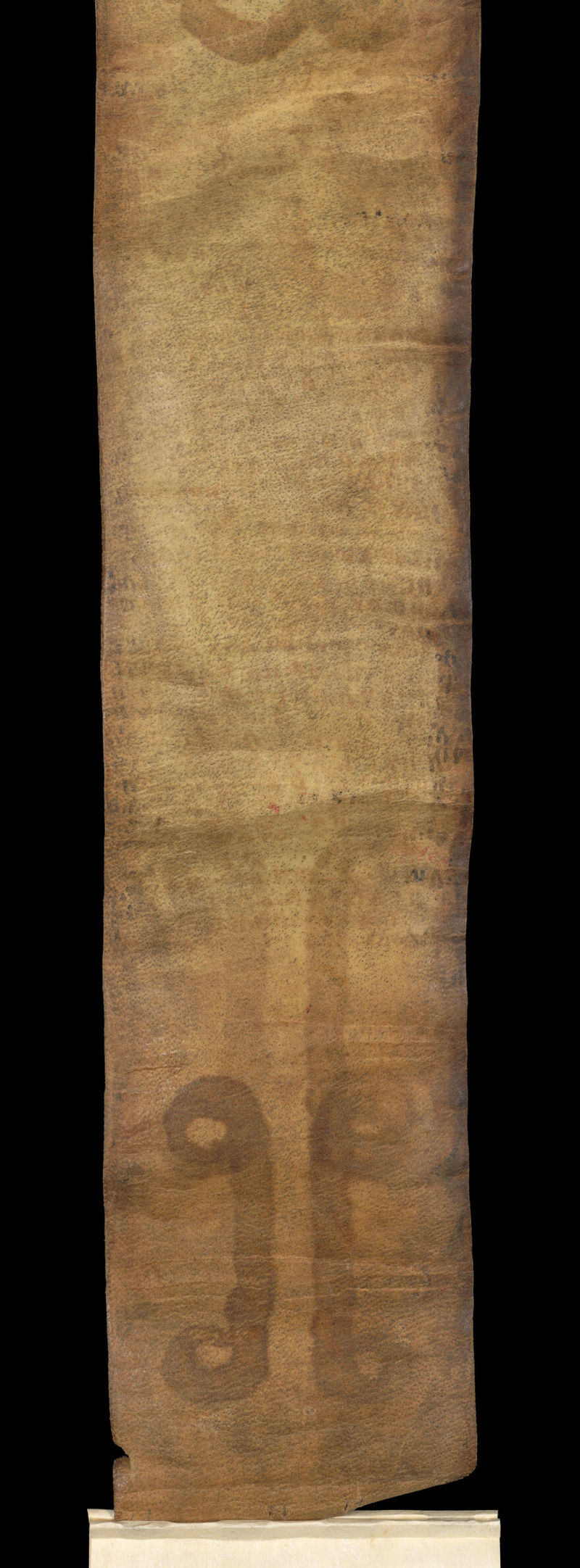 No text description is available for this image