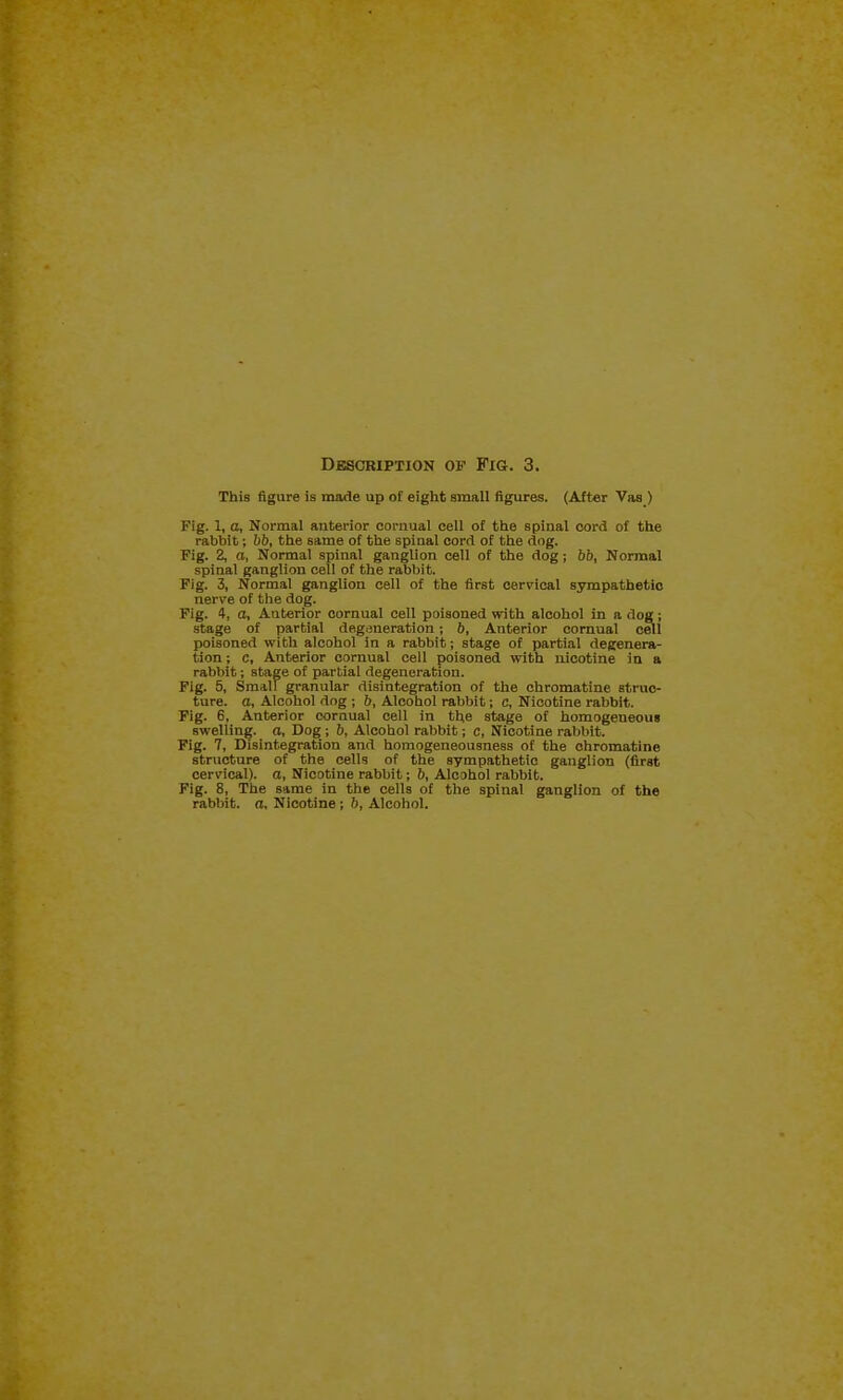 Description of Fig. 3. This figure is made up of eight small figures. (After Vas ) Fig. 1, a, Normal anterior oomual cell of the spinal cord of the rabbit; bb, the same of the spinal cord of the (log. Fig. 2, a, Normal spinal ganglion cell of the dog; 66, Normal spinal ganglion cell of the rabbit. Fig. 3, Normal ganglion cell of the first cervical sympathetic nerve of the dog. Fig. 4, a. Anterior cornual cell poisoned with alcohol in a dog; stage of partial degijneration; 6, Anterior cornual cell poisoned with alcohol in a rabbit; stage of partial degenera- tion; c, Anterior cornual cell poisoned with nicotine in a rabbit; stage of partial degeneration. Fig. 5, Small granular disintegration of the chromatine struc- ture, a, Alcohol dog ; 6, Alcohol rabbit; c. Nicotine rabbit. Fig. 6, Anterior cornual cell in the stage of homogeneous swelling, a. Dog ; 6, Alcohol rabbit; c, Nicotine rabbit. Fig. 7, Disintegration and homogeneousness of the chromatine structure of the cells of the sympathetic ganglion (first cervical), a, Nicotine rabbit; 6, Alcohol rabbit. Fig. 8, The same in the cells of the spinal ganglion of the rabbit, a. Nicotine; 6, Alcohol.