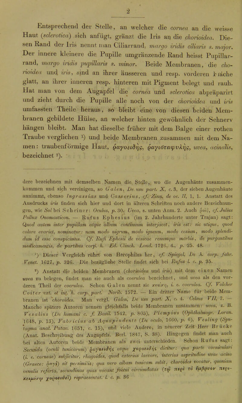 Entsprechend der Stelle, an welcher die cornea an die weisse Haut (sclerotica) sich anfügt, gränzt die Iris an die chonoidea. Die- sen Rand der Iris nennt man Ciliarrand, margo iridis ciliaris s. mujor. Der innere kleinere die Pupille umgränzende Rand heisst Pixpillar- rand, margo iridis pupillaris s. minor. Beide Membranen, die cho- noidea und iris, sind an ihrer äusseren und resp. vorderen Jb läche glatt, an ihrer inneren resp. hinteren mit Pigment belegt und rauh. Hat man von dem Augapfel die cornea und sclerotica abpräparirt und zieht durch die Pupille alle noch von der chonoidea und iris umfassten Theile heraus, so bleibt eiine von diesen beiden Mem- branen gebildete Hülse, an welcher hinten gewöhnlich der Sehnerv hängen bleibt. Man hat dieselbe früher mit dem Balge einer rothen Traube verglichen l) und beide Membranen zusammen mit dem Na- men: traubenf örmige Haut, QccyoeidrjSi Qccyiöracpvhrjs, uvea, ucinalis, bezeichnet2). dere bezeichnen mit demselben Namen die Stelle, wo die Augenhänte Zusammen- kommen und sich vereinigen, so G alen, De usu parti X, c. 3, der sieben Augenhäute annimmt, ebenso Ingrassias und Ca&serius, cf. Zinn, de oc. II, 1, 1. Anstatt des Ausdrucks iris finden sich hier und dort in älteren Schriften uocb andere Bezeichnun- gen, wie Sol bei Sch einer: Oculus, p. 30. Uvea, s. unten Anm. 2. Auch go)i;, cf. Julius Pollux Onomasticon. — Rufus Ephesius (im 2. Jahrhunderte unter Trajan) sagt: Quod autem inter pupillam alque album continuum interjacet, iris est: sic utique, quod colore evariet, nominatur: nam modo nigrum, modo igneum, modo cesium, modo splendi- dem id esse conspicimus. Cf. Rufi Ephesii de vesicae renumque mörbis, de pnrgantibus mediccimenlis, de partibus corp'. h. Ed. Clinch. Lond. 172G, 4., p. 25. 48. *) Dieser Vergleich rührt von Hefophilus her, cf. Spiegel, De h. corp. fahr. Venet. 1G27, p. 32G. Die bezügliche Stelle findet sich bei Rufus l. c. p. 35. 2) Anstatt die beiden Membranen (chorioidea und iris) mit dem einen Namen uvea zu belegen, findet man sie auch als caerulea bezeichnet, und uvea als den vor- deren Theil der coemdea. Schon Galen nennt sie xvavq, i. e. coerulea. Cf. Volclier Coiter ext. et int. h. corp. part. Norib. 1572. — Ein dritter Name für beide Mem- branen ist choroides. Man vergl. Galen, De usu part. X, c> 4. Celsus VII, 7. Manche spätere Autoren nennen gleichfalls beide Membranen zusammen: uvea, z. B. Vesulius (De humani c. f. Basil 1542, p. 803), Plempius (Ophtha/mogr. Loran. 1048, p. 13), Fabricius ab Aquapendentc (De oexdo, 1GG0, p. 6), Yesling (St/n- tagma anai. Patav. 1051, c. 15), und viele Andere, in neuerer Zeit Herr Brücke (Anat. Beschreibung des Augapfels. Berl. 1847, S. 38). Hingegen findet man auch bei alten Autoren beide Membranen als zwei unterschieden. Schon Rufus sagt. Secunda (oculi tunicärum) Qccyoftdrjg alque jopoftdY/S dicitur: qua parte corniculari (i. e. corneae') subßcitur, rhagoides, quod exterius laevore, interius aspritudine itvae acino (Graece: oayf) sit persimi/is; qua vero albcim. tunicam subit, choroides vocatur, quomam venulis referta, secundinas quas vocant. fo'etui oircümdatas (rw nsgt rb fpßgvoy negi- xttptrq) yogofidd) repraesentat. I. c. p. 30