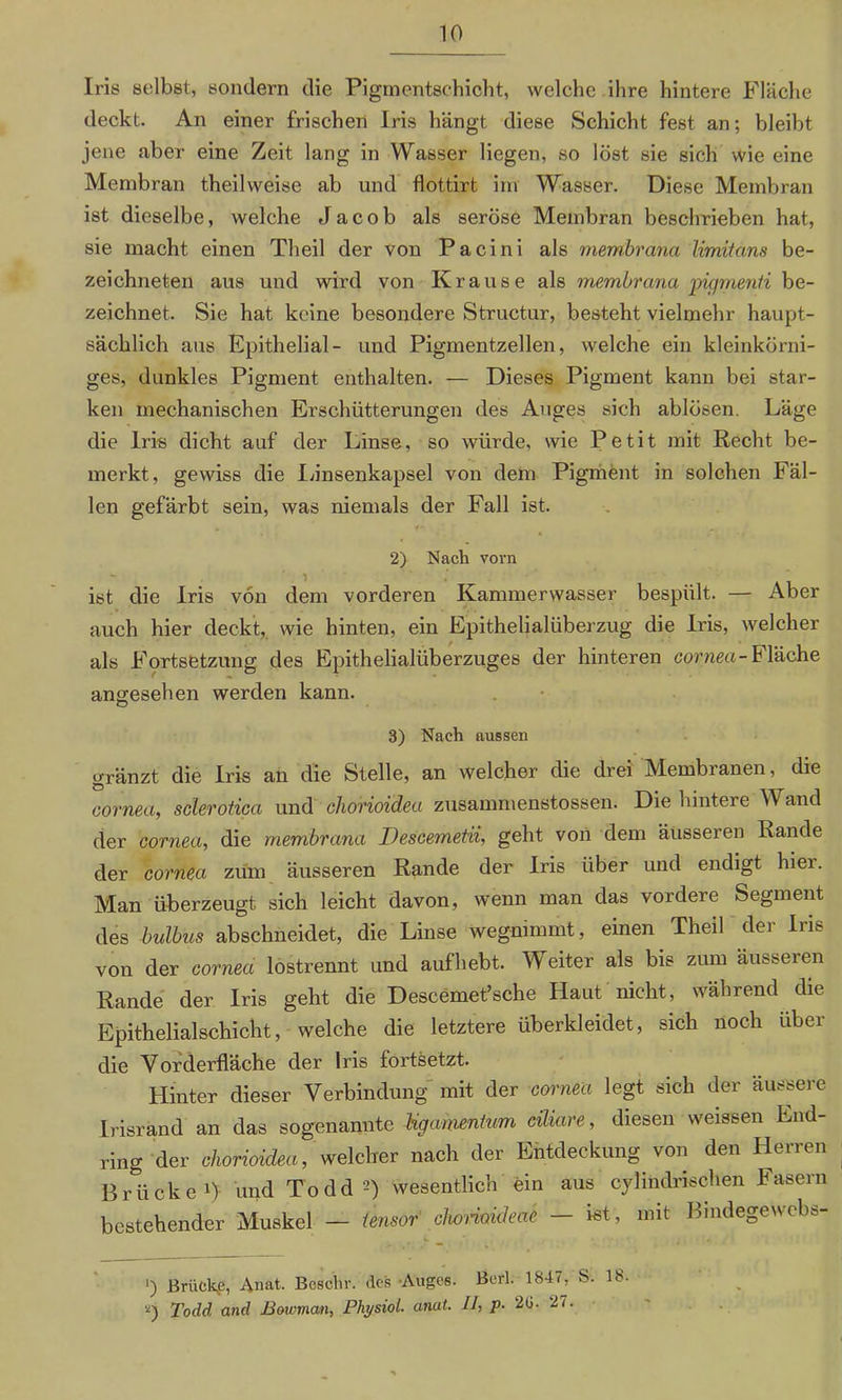 Iris selbst, sondern die Piginentschicht, welche ihre hintere Fläche deckt. An einer frischen Iris hängt diese Schicht fest an; bleibt jene aber eine Zeit lang in Wasser liegen, so löst sie sich wie eine Membran theilweise ab und flottirt im Wasser. Diese Membran ist dieselbe, welche Jacob als seröse Membran beschrieben hat, sie macht einen Theil der von Pacini als membrana limitans be- zeichneten aus und wird von Krause als membrana pigmenti be- zeichnet. Sie hat keine besondere Structur, besteht vielmehr haupt- sächlich aus Epithelial- und Pigmentzellen, welche ein kleinkörni- ges, dunkles Pigment enthalten. — Dieses Pigment kann bei star- ken mechanischen Erschütterungen des Auges sich ablösen. Läge die Iris dicht auf der Linse, so würde, wie Petit mit Recht be- merkt, gewiss die Linsenkapsel von dem Pigment in solchen Fäl- len gefärbt sein, was niemals der Fall ist. , <«• . * 2) Nach vom ist die Iris von dem vorderen Kammerwasser bespült. — Aber auch hier deckt, wie hinten, ein Epithelialüberzug die Iris, welcher als Fortsetzung des Epithelialüberzuges der hinteren cornea-Fläche angesehen werden kann. 3) Nach aussen gränzt die Iris an die Stelle, an welcher die drei Membranen, die cornea, sclerotica und chorioidea zusammenstossen. Die hintere Wand der cornea, die membrana Descemetii, geht von dem äusseren Rande der cornea zum äusseren Rande der Iris über und endigt hier. Man überzeugt sich leicht davon, wenn man das vordere Segment des bulbus abschneidet, die Linse wegnimmt, einen Theil der Ins von der cornea lostrennt und auf hebt. Weiter als bis zum äusseien Rande der Iris geht die Descemet’sche Haut nicht, während die Epithelialschicht, welche die letztere überkleidet, sich noch über die Vorderfläche der Iris tortsetzt. Hinter dieser Verbindung mit der cornea legt sich der äussere Irisrand an das sogenannte Ugamenium ciliare, diesen weissen End- ring der chorioidea, welcher nach der Entdeckung von den Herren Brücke1) und Todd?) wesentlich ein aus cylindrisöhen Fasern bestehender Muskel - iensor clwnoideae - ist, mit Bindegewcbs- ') Brückte, Anat. Beschr. des Auges. Berl. 1847, S. 18. Todd and Bowman, Physiol. anat. II, p- 2ü. 27.