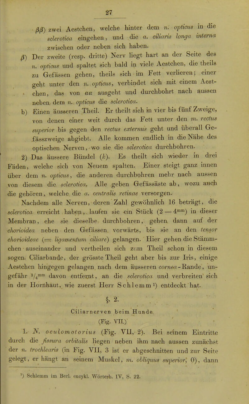 ßß) zwei Aestchen, welche hinter dem n. opticus m die sclerotica ein gehen, und die a. ciliaris longa interna zwischen oder neben sich haben. ß) Der zweite (resp. dritte) Nerv liegt hart an der Seite des n. optirns und spaltet sich bald in viele Aestchen, die theils zu Gefässen gehen, theils sich im Fett verlieren, einer geht unter den n. opticus, verbindet sich mit einem Aest- 1 chen, das von au ausgeht und durchbohrt nach aussen neben dem n. opticus die sclerotica. b) Einen äusseren Theil. Er theilt sich in vier bis fünf Zweige, von denen einer weit durch das Fett unter den m. rectus superior bis gegen den rectus externus geht und überall Ge- fässzweige abgiebt. Alle kommen endlich in die Nähe des optischen Nerven,-wo sie die sclerotica durchbohren. 2) Das äussere Bündel (Je). Es theilt sich wieder in drei Fäden, welche sich von Neuem spalten. Einer steigt ganz innen über dem n. opticus, die anderen durchbohren mehr nach aussen von diesem die sclerotica, Alle geben Gefässäste ab, wozu auch die gehören, welche die a. centralis retinae versorgen. Nachdem alle Nerven, deren Zahl gewöhnlich 16 beträgt, die sclerotica erreicht haben, laufen sie ein Stück (2 — 4mm) in dieser Membran, ehe sie dieselbe durchbohren, gehen dann auf der chorioidea neben den Gefässen. vorwärts, bis sie an den tensor chorioideae (= ligamentum ciliare) gelangen. Hier gehen die Stämm- chen auseinander und vertheilen sich znm Theil schon in diesem sogen. Ciliarbande, der grösste Theil geht aber bis zur Iris, einige Aestchen hingegen gelangen nach dem äusseren cornea - Rande, un- gefähr 3/4mm davon entfernt, an die sclerotica und verbreiten sich in der Hornhaut, wie zuerst Herr Schlemm1) entdeckt hat. §. 2. ; i , Ciliarnerven beim Hunde. (Fig. VII.) 1. N. ocul omotorius (Fig. VII, 2). Bei seinem Eintritte durch die fissura orbitalis liegen neben ihm nach aussen zunächst der n. trochlearis (in Fig. VII, 3 ist er abgeschnitten und zur Seite gelegt, er hängt an seinem Muskel, m. obliquus superior', 0), dann ') Schlemm im Berl. encykl. Wörterb. IV, S. 22.