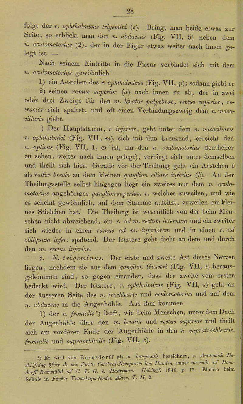 folgt der r. ophthalmicus trigemini (s). Bringt man beide etwas zur Seite, so erblickt man den ru abducens (Fig. VII, 5) neben dem ft. oculomotorius (2), der in der Figur etwas weiter nach innen ge- legt ist. — . • Nach seinem Eintritte in die Fissur verbindet sich mit dem ft. oculomotorir^s gewöhnlich 1) ein Aestchen des r: ophthalmicus (Fig. VII, pj\ sodann giebt er 2) seinen ramus superior (a) nach innen zu ab, der in zwei oder drei Zweige für den m. levator palpebrae, rectus superior, re- trcictor sich spaltet, und oft einen Verbindungszweig dem n. naso- ciliaris giebt. ) Der Hauptstamm, r. inferior, geht unter dem w. nasociliaris r. ophthalmici (Fig. VII, m), sich mit ihm kreuzend, erreicht den ft. opticus (Fig. VII, 1, er ist, um den n. oculomotorius deutlicher zu sehen, weiter nach innen gelegt), verbirgt sich unter demselben und theilt sich hier. Gerade vor der Theilung geht ein Aestchen b als radix brevis zu dem kleinen gcmglion ciliare inferius (h). An der Theilungsstelle selbst hingegen liegt ein zweites nur dem w. oculo- motorius angehöriges gangli'on superius, r, welches zuweilen, und wie es scheint gewöhnlich, auf dem Stamme aufsitzt, zuweilen ein klei- nes Stielchen hat. Die Theilung ist wesentlich von der beim Men- sehen nicht abweichend, ein r. ad m. rectum internum und ein zweiter sich wieder in einen ramus ad m. inferiorem und in einen r. ad obliquum infer. spaltend. Der letztere geht dicht an dem und durch den m. rectus inferior. 2. N. trigemirtus. Der erste und zweite Ast dieses Nerven liegen, nachdem sie aus dem ganglion Gasseri (Fig. VII, t) heraus- gekommen sind, so gegen einander, dass der zweite vom ersten bedeckt wird. Der letztere, r. ophthalmicus (Fig. VII, s) geht an der äusseren Seite des n. trochlearis und ocidomotorius und auf dem n. abducens in die Augenhöhle. Aus ihm kommen 1) der ft. frontalis J) läuft, wie beim Menschen, unter dem Dach der Augenhöhle über den m. levator und rectus superior und theilt sich am vorderen Ende der Augenhöhle in den n. supratrochlearis, frontalis und supraorbitalis (Fig. VII, c). r . ' i) Er wird von Bornsdorff als n. lacrymalis bezeichnet, s. Anatomisk Be- skrifning öfver de sex första Cerebral-Nervparen hos Hunden, under inseende of Bons- dorjf framställd af C. F. G. v. Haartman. Helsingf. 1840, p. 17. Ebenso beim Schafe in Finska Vetenskaps-Societ. Akter, T. II, 2.