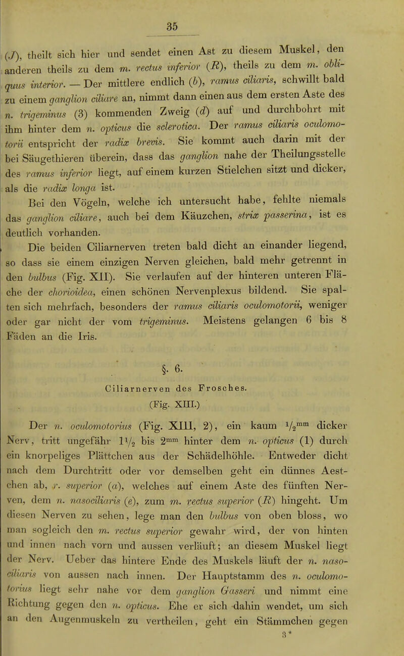 (./), theilt sich hier und sendet einen Ast zu diesem Muskel, den anderen theils zu dem m. rectus inferior (R), theils zu dem m. obli- quus interior. — Der mittlere endlich (b), ramus ciliaris, schwillt bald zu einem ganglion ciliare an, nimmt dann einen aus dem ersten Aste des n. trigeminus (3) kommenden Zweig (d) auf und durchbohrt mit ihm hinter dem n. opticus die sclerotica. Der ramus ciliaris oculomo- toi'ii entspricht der radix brevis. Sie kommt auch darin mit dei bei Säugethieren überein, dass das ganglion nahe der Theilungsstelle des ramus inferior liegt, auf einem kurzen Stielchen sitzt und dickei, als die radix longa ist. Bei den Vögeln, welche ich untersucht habe, fehlte niemals das ganglion ciliare, auch bei dem Käuzchen, strix passerina, ist es deutlich vorhanden. Die beiden Ciliarnerven treten bald dicht an einander liegend, so dass sie einem einzigen Nerven gleichen, bald mehr getrennt in den bulbus (Fig. XII). Sie verlaufen auf der hinteren unteren Flä- che der chorioidea, einen schönen Nervenplexus bildend. Sie spal- ten sich mehrfach, besonders der ramus ciliaris oculomotorii, weniger oder gar nicht der vom trigeminus. Meistens gelangen 6 bis 8 Fäden an die Iris. §. 6. Ciliarnerven des Frosches. (Fig. XIII.) Der n. oculomotorius (Fig. XIJL1, 2), ein kaum V2mm dicker Nerv, tritt ungefähr D/2 bis 2mm hinter dem n. opticus (1) durch ein knorpeliges Plättchen aus der Schädelhöhle. Entweder dicht nach dem Durchtritt oder vor demselben geht ein dünnes Aest- chen ab, r. superior (a), welches auf einem Aste des fünften Ner- ven, dem n. nasociliaris (e), zum m. rectus superior (R) hingeht. Um diesen Nerven zu sehen, lege man den bulbus von oben bloss, wo man sogleich den m. rectus superior gewahr wird, der von hinten und innen nach vorn und aussen verläuft; an diesem Muskel liegt der Nerv. Ueber das hintere Ende des Muskels läuft der n. naso- ciliaris von aussen nach innen. Der Hauptstamm des n. oculomo- torius liegt sehr nahe vor dem ganglion Gassen und nimmt eine Richtung gegen den n. opticus. Ehe er sich dahin wendet, um sich an den Augenmuskeln zu vertheilen, geht ein Stämmchen gegen 3*