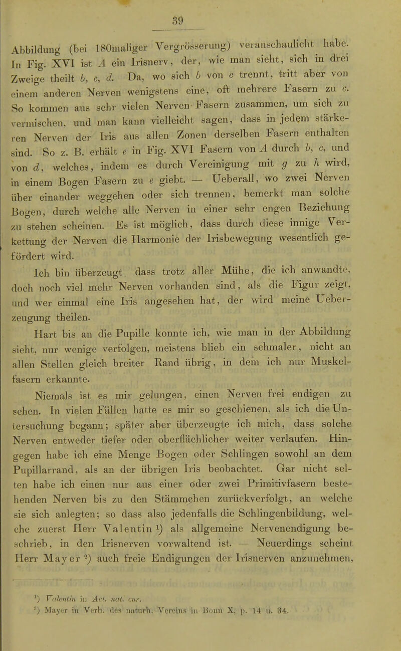 Abbildung (bei 180maliger Verg'rösserung) veranschaulicht, habe. In Fig. XVI ist A ein Irisnerv, der, wie man sieht, sich in drei Zweige theilt b, c, d. Da, wo sich b von c trennt, tritt aber von einem anderen Nerven wenigstens eine, oft mehrere Fasern zu c. So kommen aus sehr vielen Nerven Fasern zusammen, um sich zu vermischen, und man kann vielleicht sagen, dass in jedem stärke- ren Nerven der Iris aus allen Zonen derselben Fasern enthalten sind. So z. B. erhält e in Fig. XVI Fasern von A durch b, c, und von d, welches, indem es durch Vereinigung mit g zu h wird, in einem Bogen Fasern zu e giebt. — Ueberall, wo zwei Nerven über einander Weggehen oder sich trennen, bemerkt man solche Bo^en, durch welche alle Nerven in einer sehr engen Beziehung zu stehen scheinen. Es ist möglich, dass durch diese innige Vei- kettuno- der Nerven die Harmonie der Irisbewegung wesentlich ge- Ö fördert wird. Ich bin überzeugt dass trotz aller Mühe, die ich an wandte, doch noch viel mehr Nerven vorhanden sind, als die Figur zeigt, und wer einmal eine Iris angesehen hat, der wird meine Uebei- zeugung theilen. Hart bis an die Pupille konnte ich, wie man in der Abbildung sieht, nur wenige verfolgen, meistens blieb ein schmaler, nicht an allen Stellen gleich breiter Rand übrig, in dem ich nur Muskel- fasern erkannte. Niemals ist es mir gelungen, einen Nerven frei endigen zu sehen. In vielen Fällen hatte es mir so geschienen, als ich die Un- tersuchung begann; später aber überzeugte ich mich, dass solche Nerven entweder tiefer oder oberflächlicher weiter verlaufen. Hin- gegen habe ich eine Menge Bogen oder Schlingen sowohl an dem Pupillarrand, als an der übrigen Iris beobachtet. Gar nicht sel- ten habe ich einen nur aus einer oder zwei Primitivfasern beste- henden Nerven bis zu den Stämmchen zurückverfolgt, an welche sie sich anlegten; so dass also jedenfalls die Schlingenbildung, wel- che zuerst Herr Valentin1) als allgemeine Nervenendigung be- schrieb, in den Irisnerven vorwaltend ist. — Neuerdings scheint Herr Mayer2) auch freie Endigungen der Irisnerven anzunehmen, ') Valentin in Art. nai. cur. *) Mayer in Verb, des naturh. Vereins in Bonn X, p. 14 u. 34.