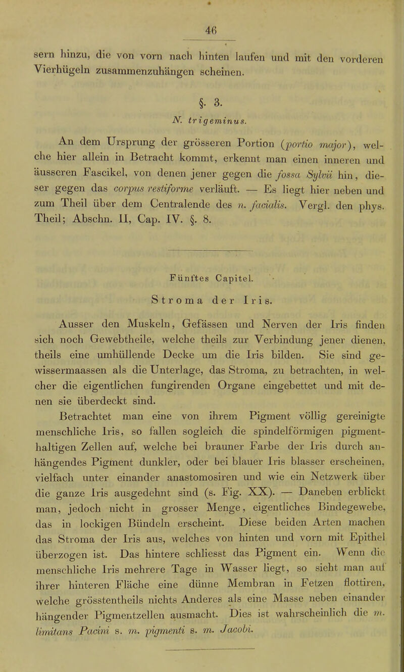 sern hinzu, die von vorn nach hinten laufen und mit den vorderen Vierhügeln zusammenzuhängen scheinen. N. §. 3. trig eminus. An dem Ursprung der grösseren Portion (portio major), wel- che hier allein in Petracht kommt, erkennt man einen inneren und äusseren Fascikel, von denen jener gegen die fossct Sylvii hin, die- ser gegen das corpas restiforme verläuft. — Es liegt hier neben und zum Theil über dem Centralende des n. facialis. Vergl. den phys. Theil; Abschn. II, Cap. IV. §. 8. Fünftes Capitel. Stroma der Iris. Ausser den Muskeln, Gefässen und Nerven der Iris finden sich noch Gewebtheile, welche theils zur Verbindung jener dienen, theils eine umhüllende Decke um die Iris bilden. Sie sind ge- wissermaassen als die Unterlage, das Stroma, zu betrachten, in wel- cher die eigentlichen fungirenden Organe eingebettet und mit de- nen sie überdeckt sind. Betrachtet man eine von ihrem Pigment völlig gereinigte menschliche Iris, so fallen sogleich die spindelförmigen pigment- haltigen Zellen auf, welche bei brauner Farbe der Iris durch an- hängendes Pigment dunkler, oder bei blauer Iris blasser erscheinen, vielfach unter einander anastomosiren und wie ein Netzwerk über die ganze Iris ausgedehnt sind (s. Fig. XX). — Daneben erblickt man, jedoch nicht in grosser Menge, eigentliches Bindegewebe, das in lockigen Bündeln erscheint. Diese beiden Arten machen das Stroma der Iris aus, welches von hinten und vorn mit Epithel überzogen ist. Das hintere schliesst das Pigment ein. Wenn die menschliche Iris mehrere Tage in Wasser liegt, so sieht man aul ihrer hinteren Fläche eine dünne Membran in Fetzen flottiren, welche grösstentheils nichts Anderes als eine Masse neben einander hängender Pigmentzellen ausmacht. Dies ist wahrscheinlich die m.