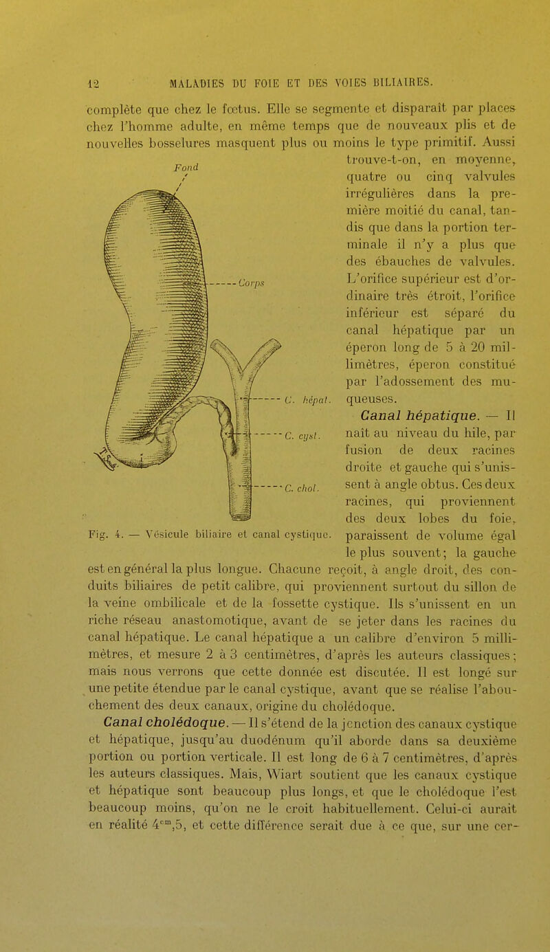 Fond complète que chez le fœtus. Elle se segmente et disparaît par places- chez l'homme adulte, en même temps que de nouveaux plis et de nouvelles bosselures masquent plus ou moins le type primitif. Aussi trouve-t-on, en moyenne^ quatre ou cinq valvules irrégulières dans la pre- mière moitié du canal, tan- dis que dans la portion ter- minale il n'y a plus que des ébauches de valvules. L'orifice supérieur est d'or- dinaire très étroit, l'orifice inférieur est séparé du canal hépatique par un éperon long de 5 à 20 mil- limètres, éperon constitué par l'adossement des mu- hépai. queuses. Canal hépatique. — Il naît au niveau du hile, par fusion de deux racines droite et gauche qui s'unis- sent à angle obtus. Ces deux racines, qui proviennent des deux lobes du foie, paraissent de volume égal le plus souvent ; la gauche est en général la plus longue. Chacune reçoit, à angle droit, des con- duits biliaires de petit calibre, qui proviennent surtout du sillon de la veine ombihcale et de la fossette cystique. Ils s'unissent en un riche réseau anastomotique, avant de se jeter dans les racines du canal hépatique. Le canal hépatique a un calibre d'environ 5 milli- mètres, et mesure 2 à3 centimètres, d'après les auteurs classiques; mais nous verrons que cette donnée est discutée. Il est longé sur une petite étendue par le canal cystique, avant que se réalise l'abou- chement des deux canaux, origine du cholédoque. Canal cholédoque. — Il s'étend de la jonction des canaux cystique et hépatique, jusqu'au duodénum qu'il aborde dans sa deuxième portion ou portion verticale. Il est long de 6 à 7 centimètres, d'après les auteurs classiques. Mais, Wiart soutient que les canaux cystique et hépatique sont beaucoup plus longs, et que le cholédoque Test beaucoup moins, qu'on ne le croit habituellement. Celui-ci aurait en réalité 4'',5, et cette différence serait due à ce que, sur une cer- C. cijsl. C. chol. Fig. 4. — Vésicule biliaire et canal cystique.