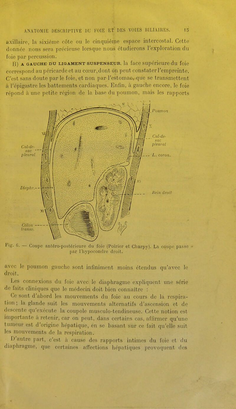 axillaire, la sixième côte ou le cinquième espace intercostal. Cette donnée nous sera précieuse lorsque nous étudierons l'exploration du foie par percussion. B) A GAUCHE DU LIGAMENT susPENSEUR, la faco Supérieure du foie correspond au péricarde et au cœur, dont on peut constater l'empreinte. C'est sans doute par le foie, et non par l'estomaG, que se transmettent à l'ôpigastre les battements cardiaques. Enfin, à gauche encore, le foie répond à une petite région de la base du poumon, mais les rapports Cul-de- sac  pleural Diaphv.-- Poumon Cul-de- sac pleural — L. coron. Hein droit Côlon Iransv. Fig. G. — Coupe antéro-postérieure du foie (Poirier et Ciiarpy). La coupe passe par rhypocondre droit. avec le poumon gauche sont infiniment moins étendus qu'avec le droit. Les connexions du foie avec le diaphragme expliquent une série de faits cliniques que le médecin doit bien connaître : Ce sont d'abord les mouvements du foie au cours de la respira- tion ; la glande suit les mouvements alternatifs d'ascension et de descente qu'exécute la coupole musculo-tendineuse. Cette notion est importante à retenir, car on peut, dans certains cas, affirmer qu'une tumeur est d'origine hépatique, en se basant sur ce fait qu'elle suit les mouvements de la respiration. D autre part, c'est à cause des rapports intimes du foie et du diaphragme, que certaines affections hépatiques provoquent des