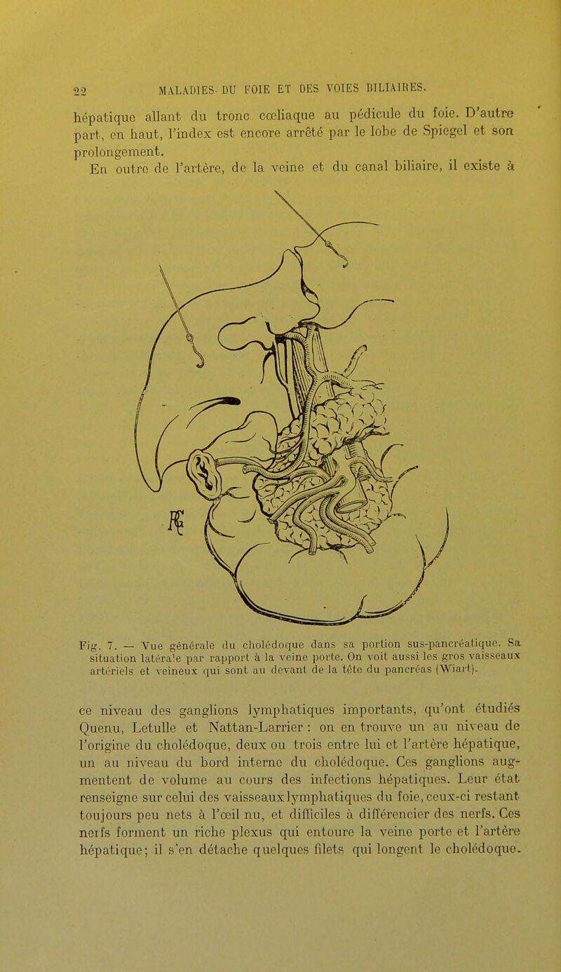 hépatique allant du tronc cœliaque au pédicule du foie. D'autre part, en haut, l'index est encore arrêté par le lobe de Spiegel et son prolongement. En outre de l'artère, de la veine et du canal biliaire, il existe à Fig. 7. — Vue générale du cholédoque dans sa portion sus-pancréatique. Sa situation latérale par rapport à la veine porte. On voit aussi les gros vaisseaux artériels et veineux qui sont au devant de la tète du pancréas (Wiart). ce niveau des ganglions lymphatiques importants, qu'ont étudiés Quenu, LetuUe et Nattan-Larrier : on en trouve un au niveau de l'origine du cholédoque, deux ou trois entre lui et l'artère hépatique, un au niveau du bord interne du cholédoque. Ces ganglions aug- mentent de volume au cours des infections hépatiques. Leur état renseigne sur celui des vaisseaux lymphatiques du foie, ceux-ci restant toujours peu nets à l'œil nu, et difliciles à diiïérencier des nerfs. Ces nerfs forment un riche plexus qui entoure la veine porte et l'artère hépatique; il s'en détache quelques filets qui longent le cholédoque.