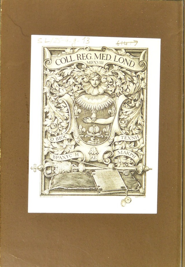 digitised image 2